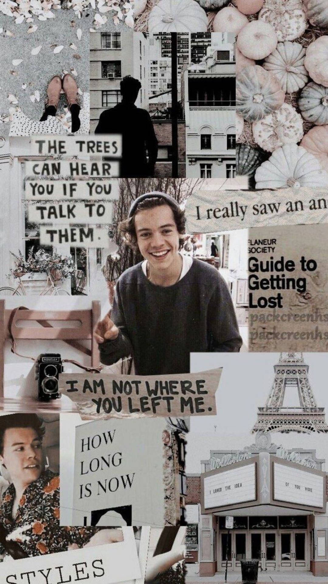 1079x1920 iPhone Harry Styles Wallpaper