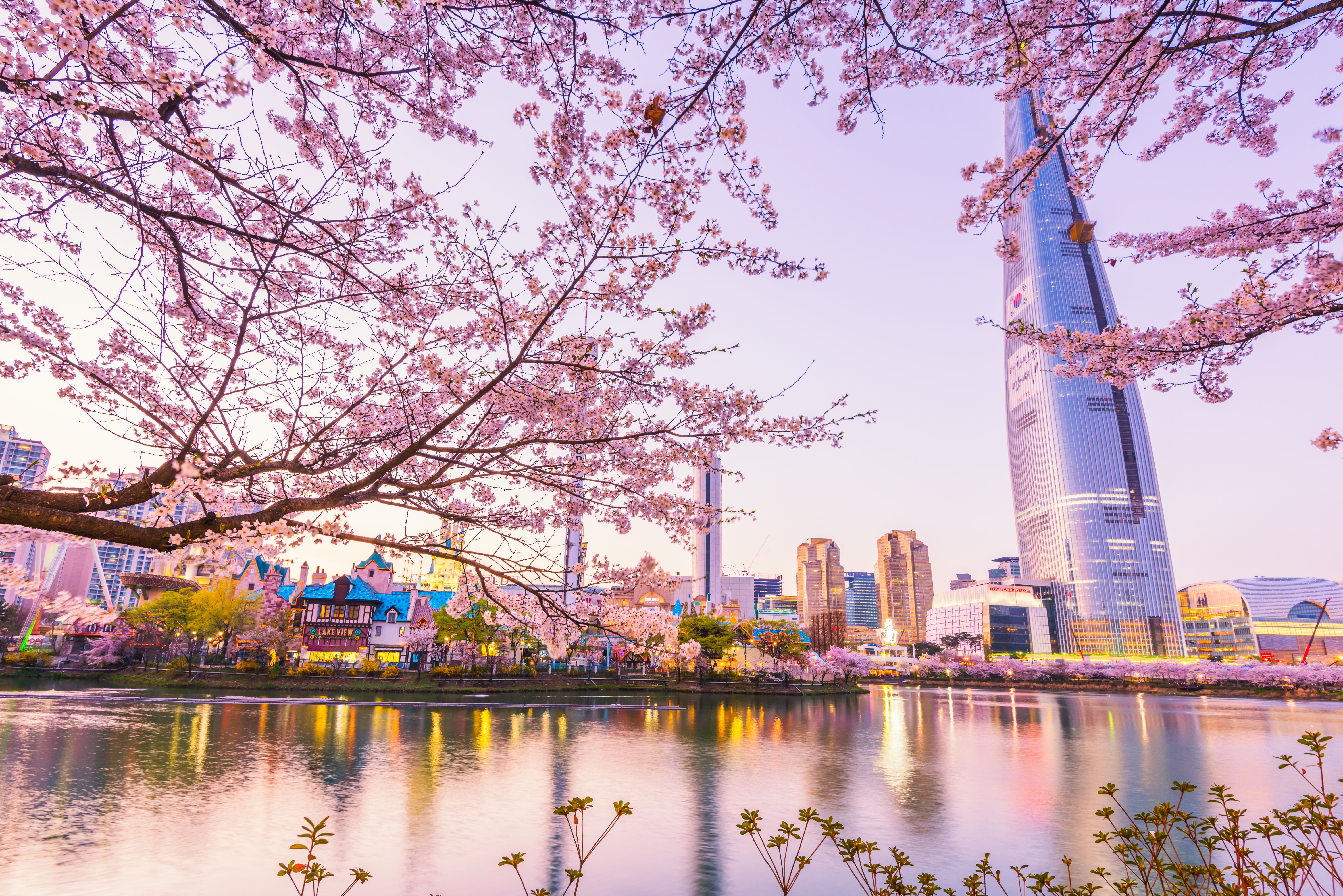 7360x4912 Wallpaper landscape, city, the city, cherry, spring, Sakura, flowering, South Korea for mobile and desktop, section город, resolution 7360x4912