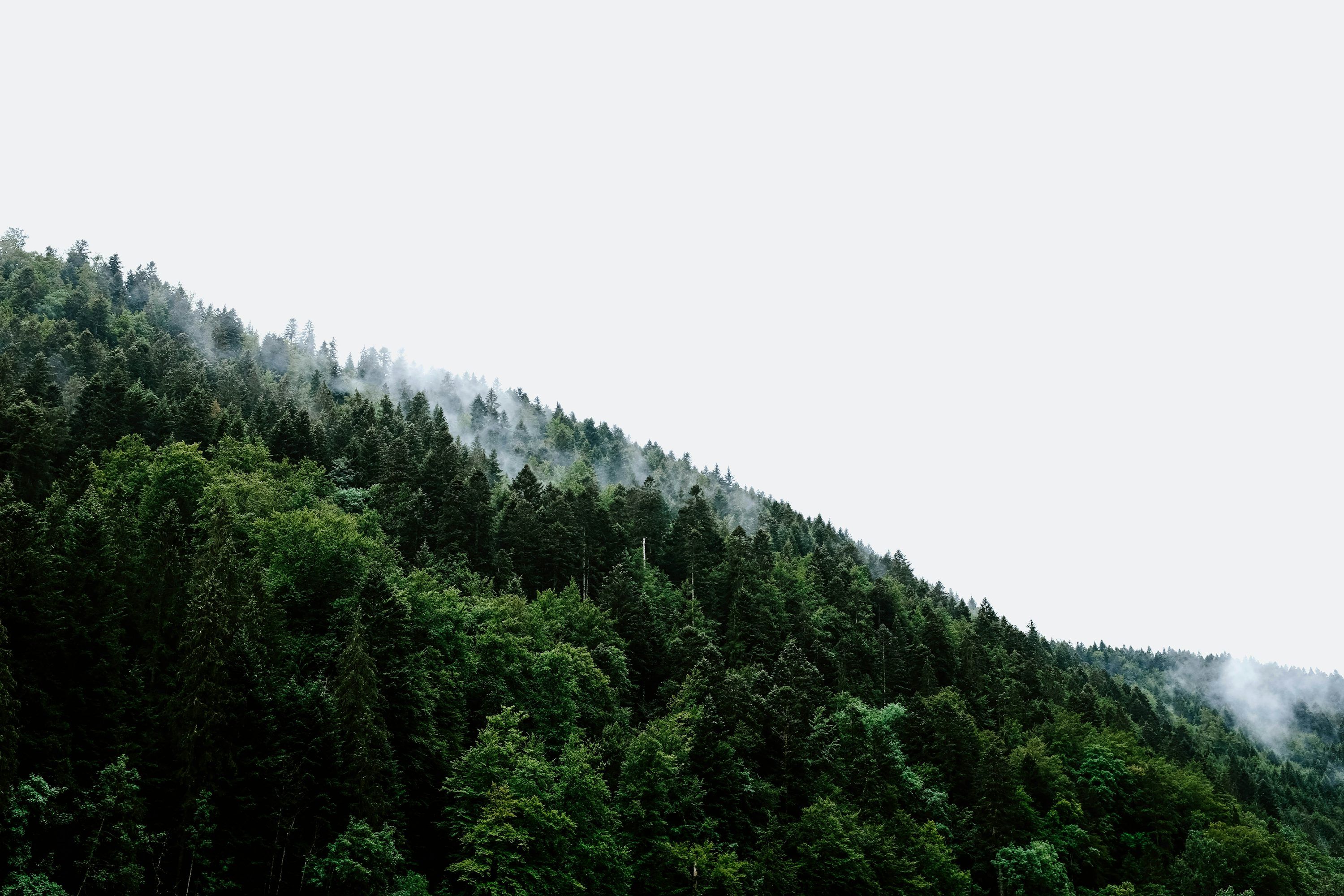 3000x2000 Minimal Landscape Picture. Download Free Image
