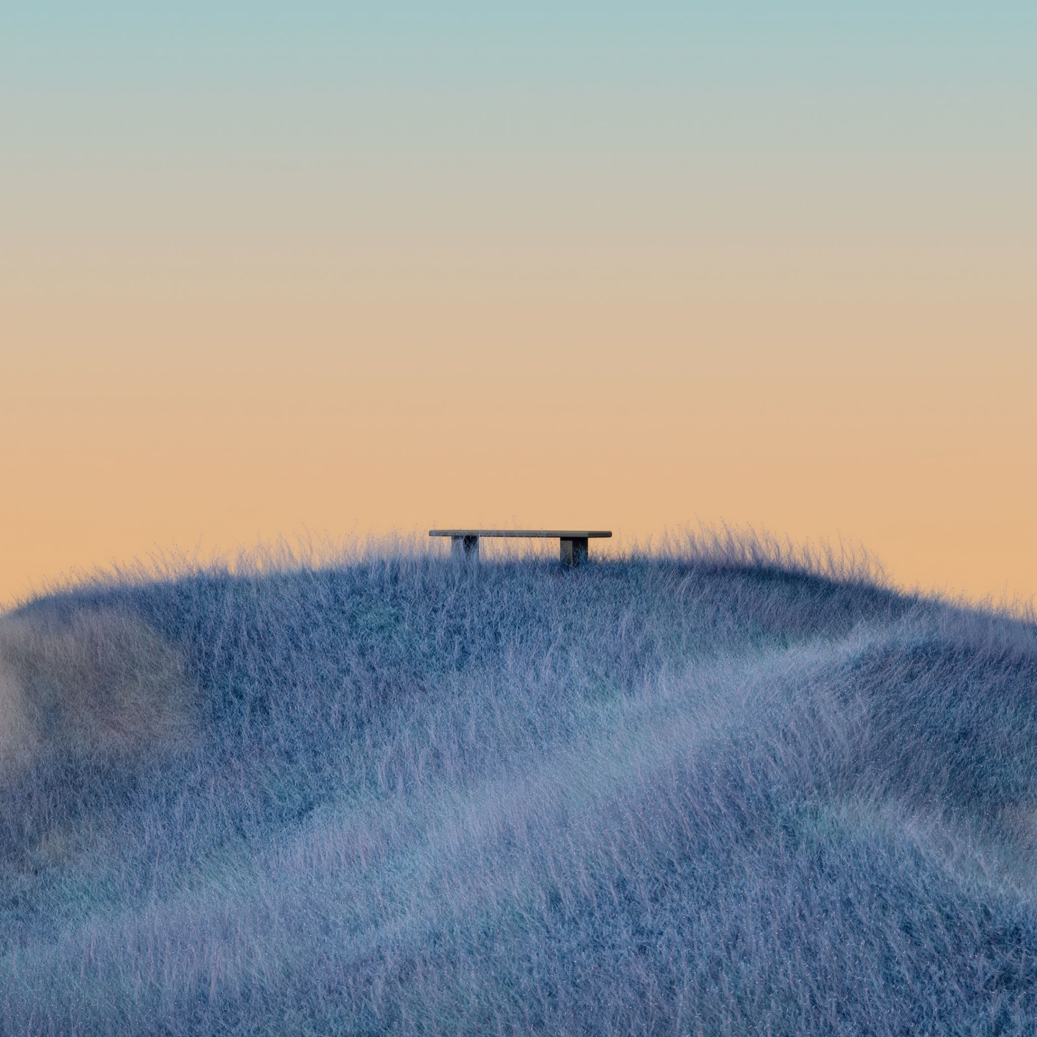 2048x2048 Minimalist Wallpaper 4K, Landscape, Grass field, Bench