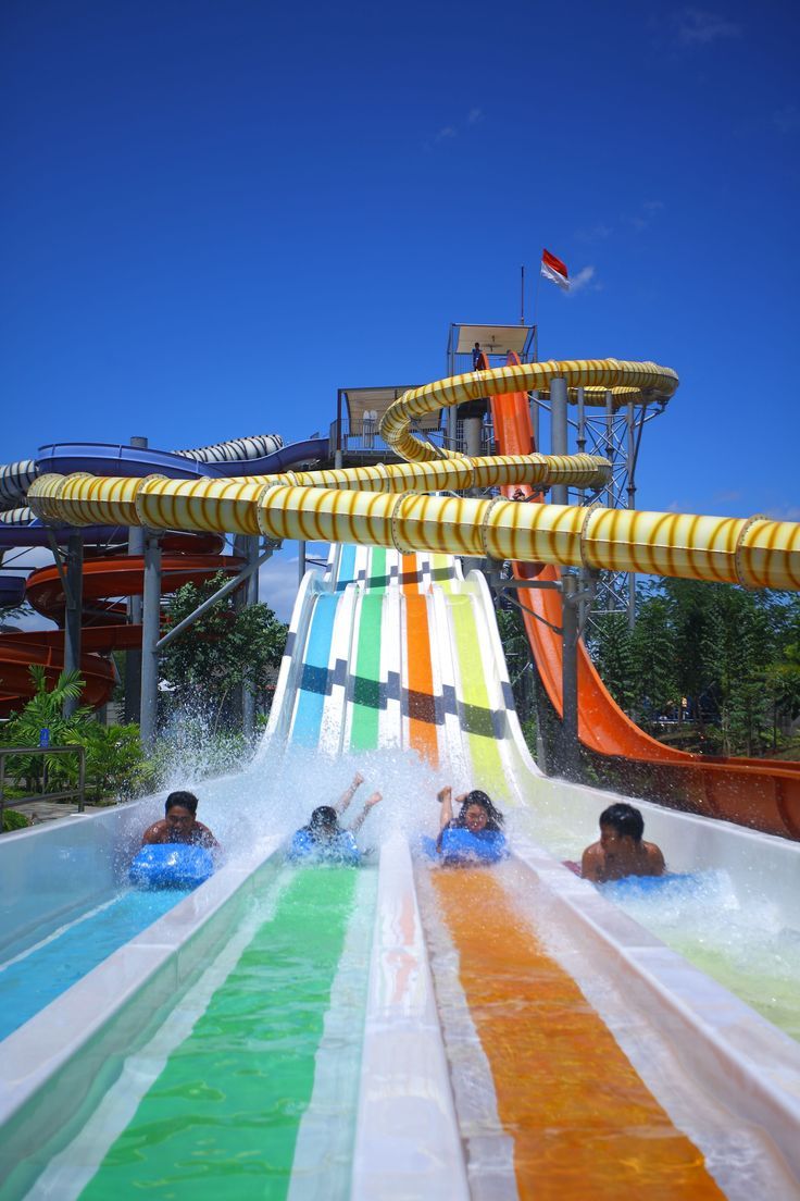 736x1104 Waterpark Wallpaper