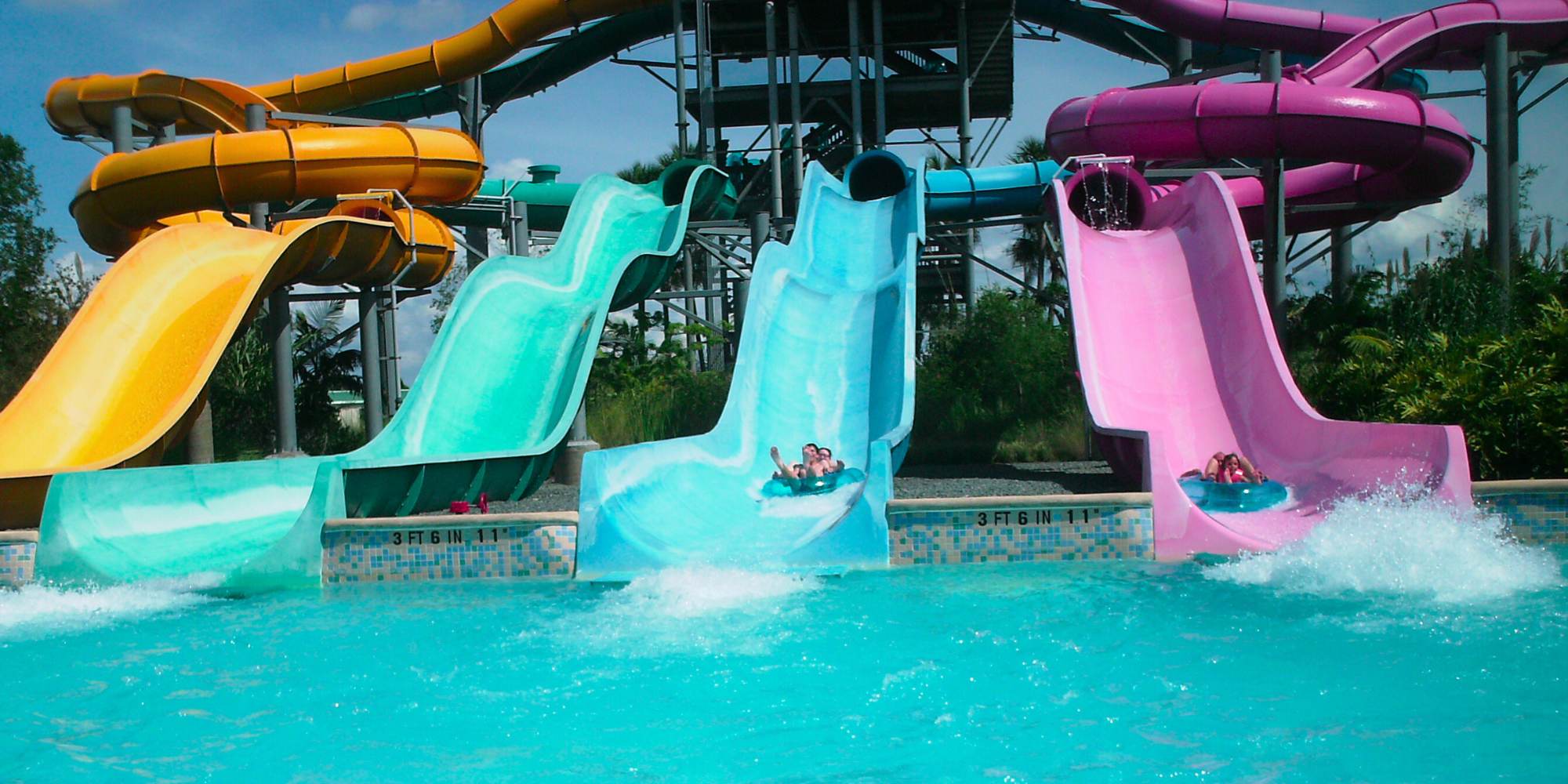 2000x1000 Aquatica Orlando: A Local's Guide to Where Water Slides and Dolphins Collide