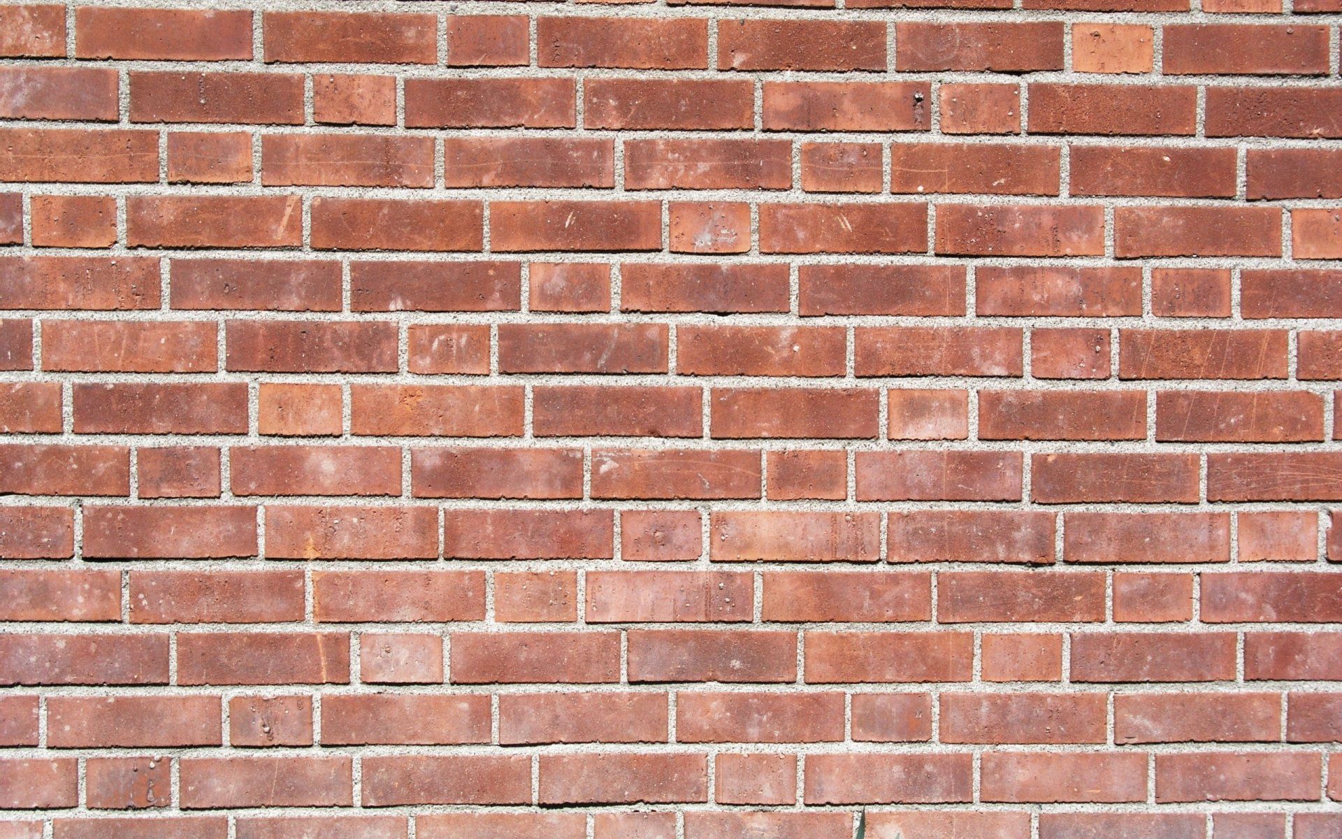 1920x1200 2K Quad HD Red Brick Wall