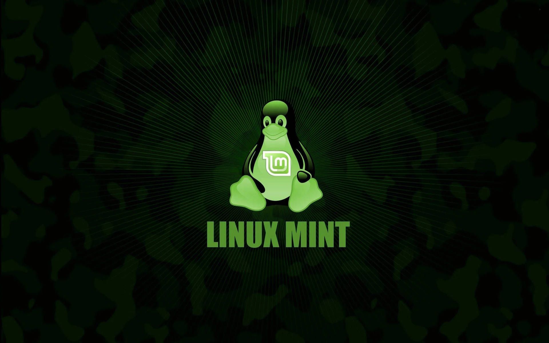 1920x1200 Download Operating System Linux Mint Logo With Penguin Tux Wallpaper