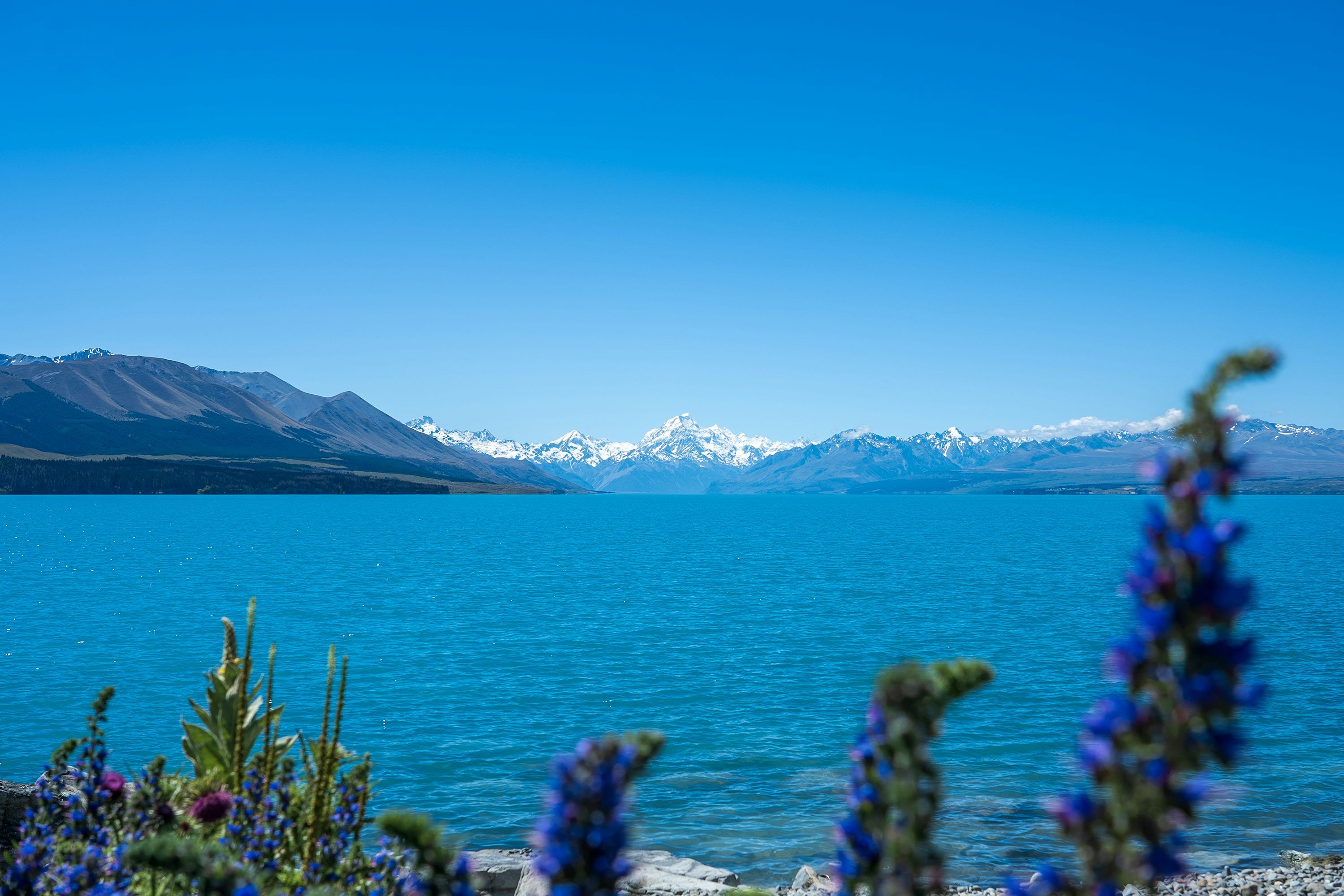 3000x2000 Azure lake scenery with mountains and flowers. photo