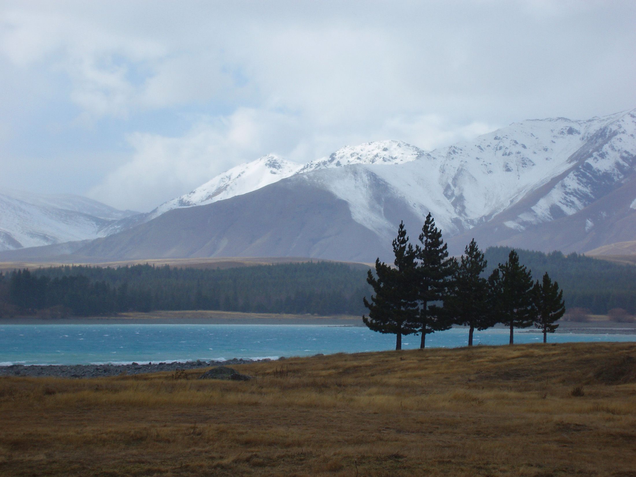 2200x1650 Free of lake pukaki trees