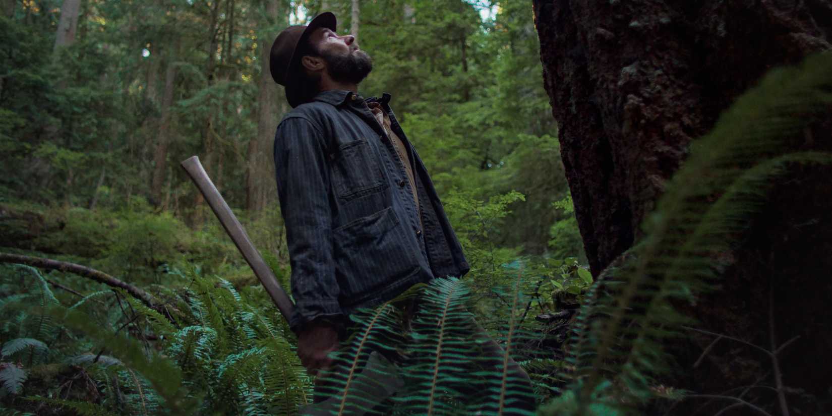 1650x825 Train Dreams Review: Joel Edgerton's New Netflix Drama Is 2025's Most Heartbreaking Hidden Gem