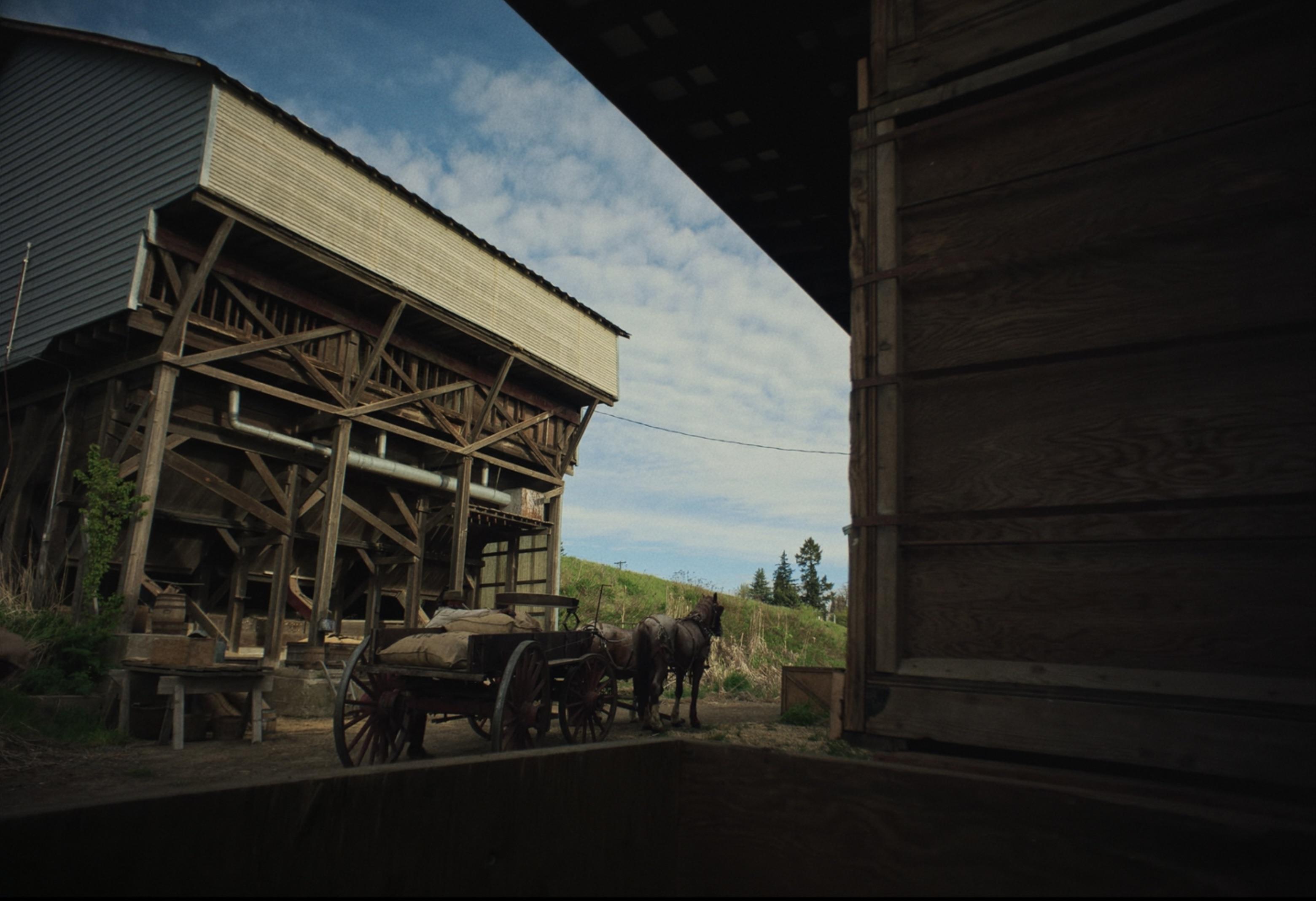 3121x2137 Some shots from Train Dreams (2025) that look straight out of Red Dead Redemption