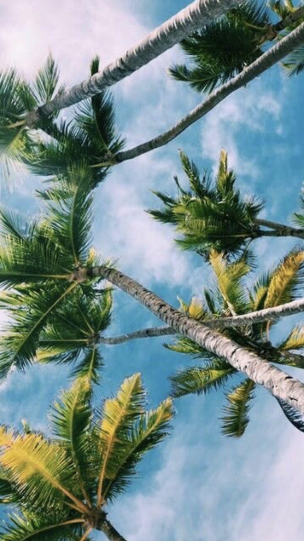 1044x1858 vsco- happinessinpixels. Summer wallpaper, Summer aesthetic