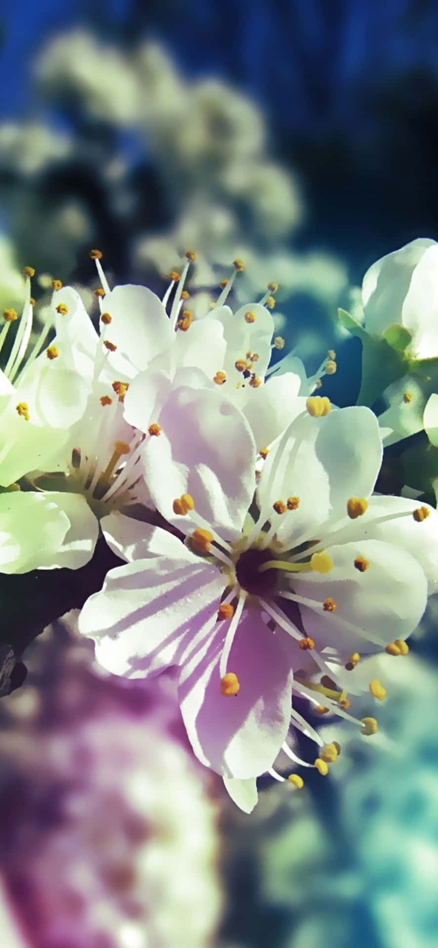 887x1920 Download A vivid spring landscape for your Pixel 3