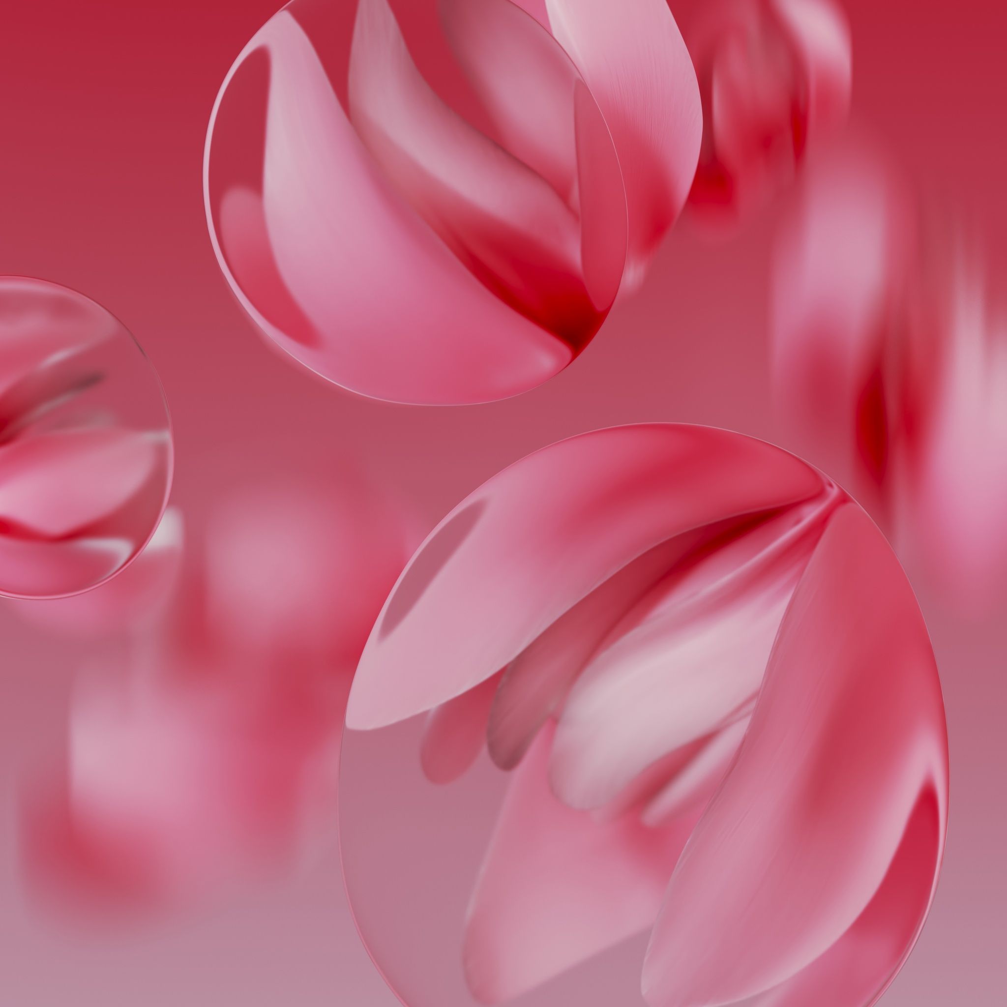 2048x2048 Google Pixel 9a Wallpaper 4K, Pink aesthetic, Stock, 5K, Macro