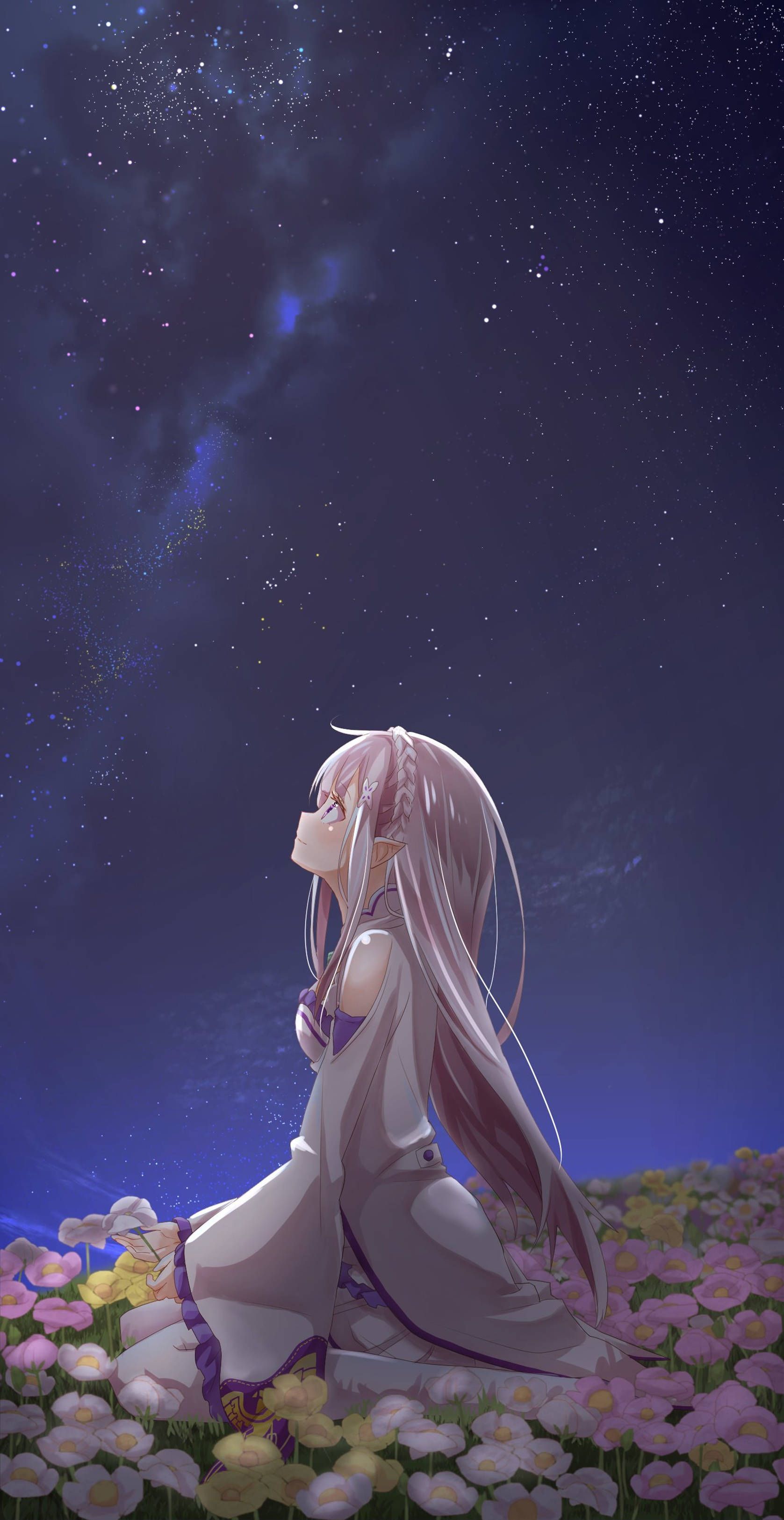 1677x3250 