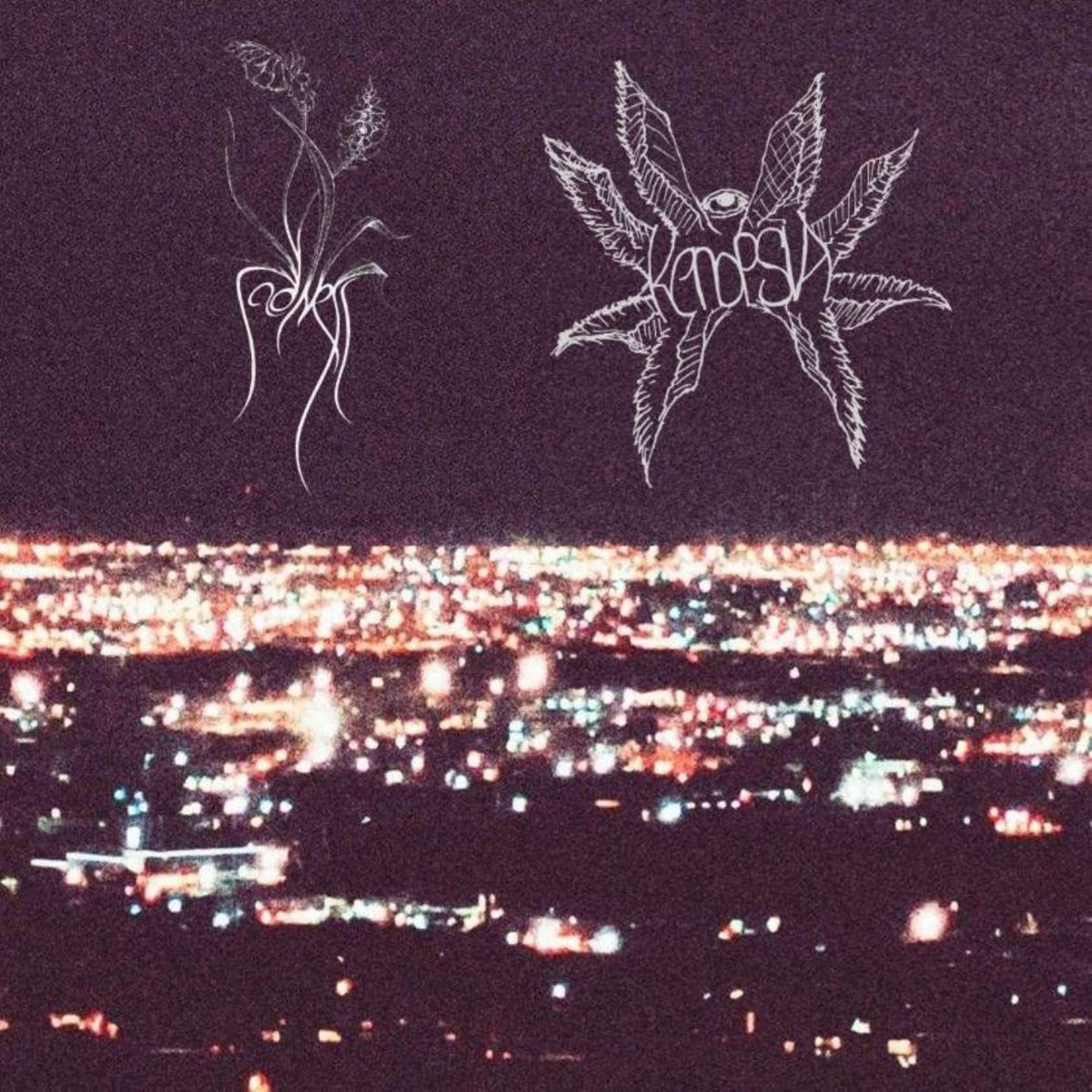 1200x1200 elisa in summer night