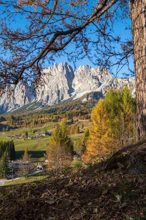 494x740 Santa maddalena Image