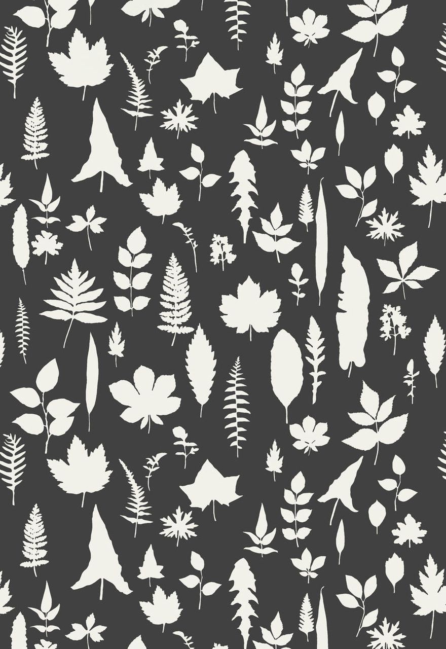 880x1280 Schumacher Modern Nature Collection Leaves Wallpaper in Graphite (Priced and Sold as 8 Yard Double Roll)