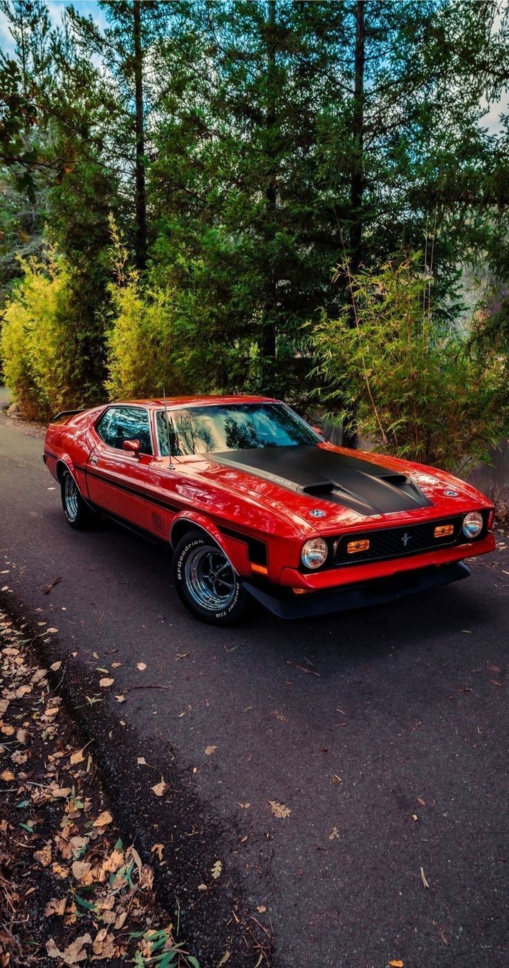 736x1400 Mustang Mach 1 1973 ✖️