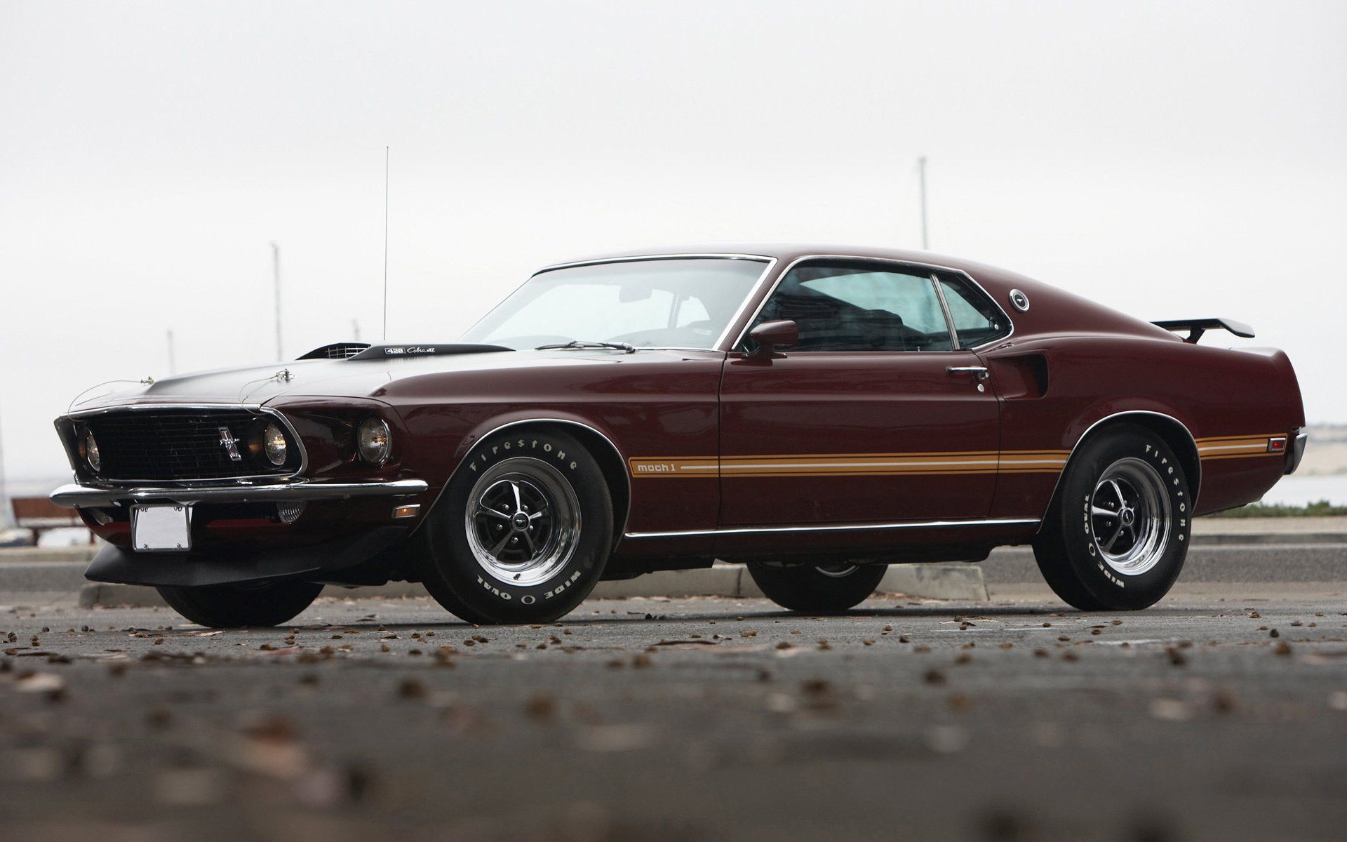 1920x1200 Ford Mustang Mach 1