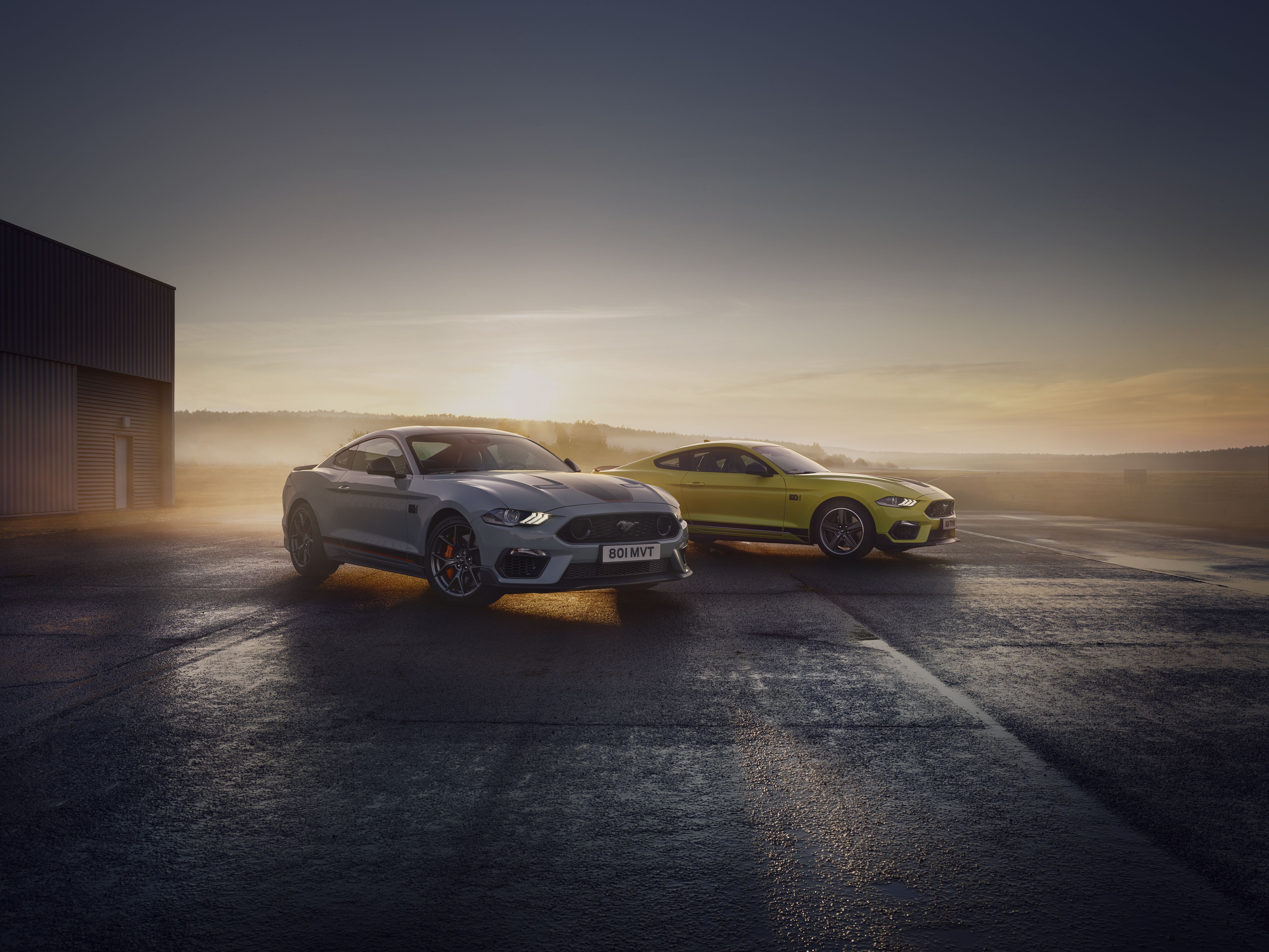 6000x4501 Ford Mustang Mach 1 5k Wallpaper, HD Cars Wallpaper, 4k Wallpaper, Image, Background, Photos and Picture