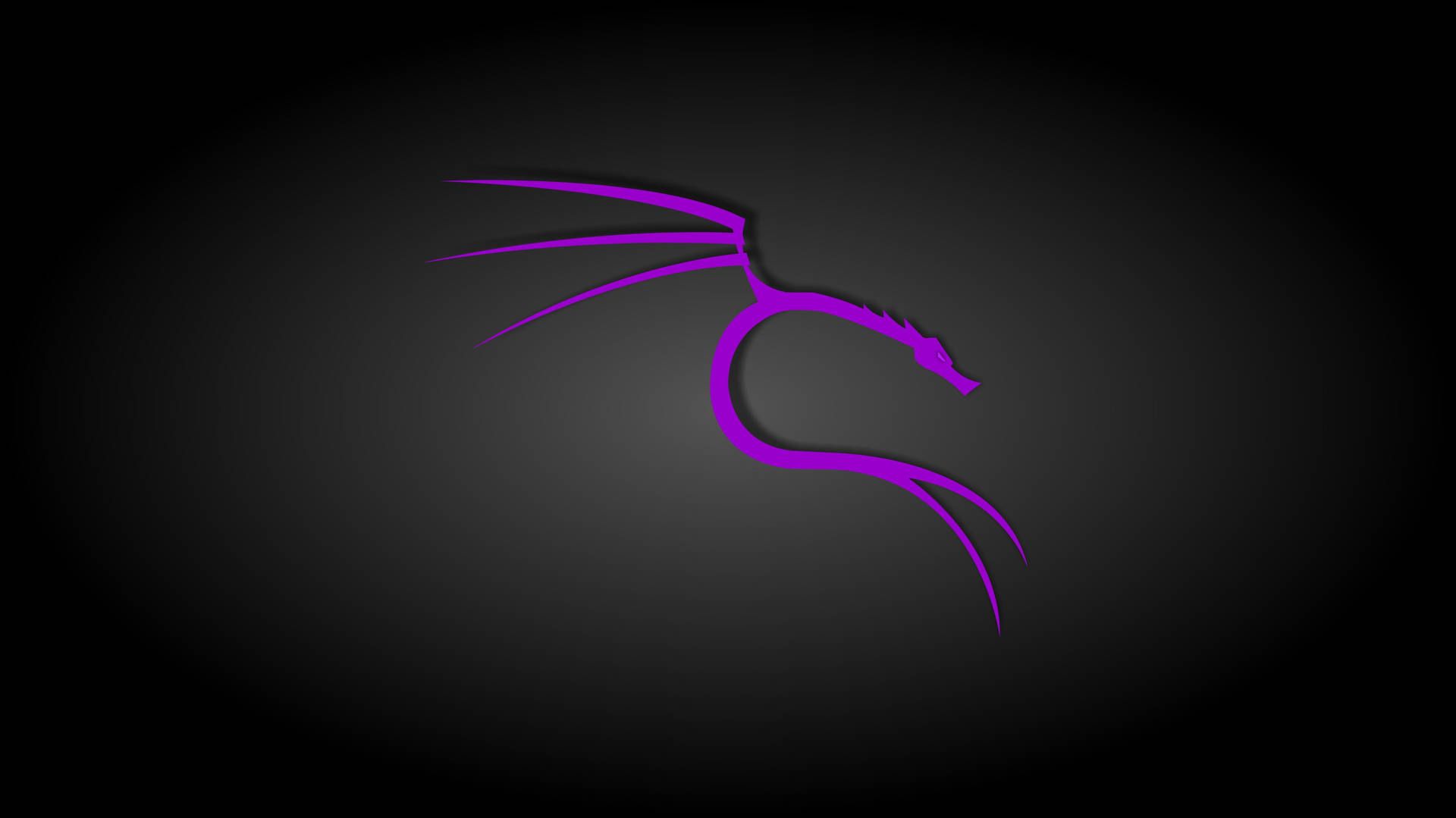1920x1079 Download Black And Purple Aesthetic Kali Linux Wallpaper