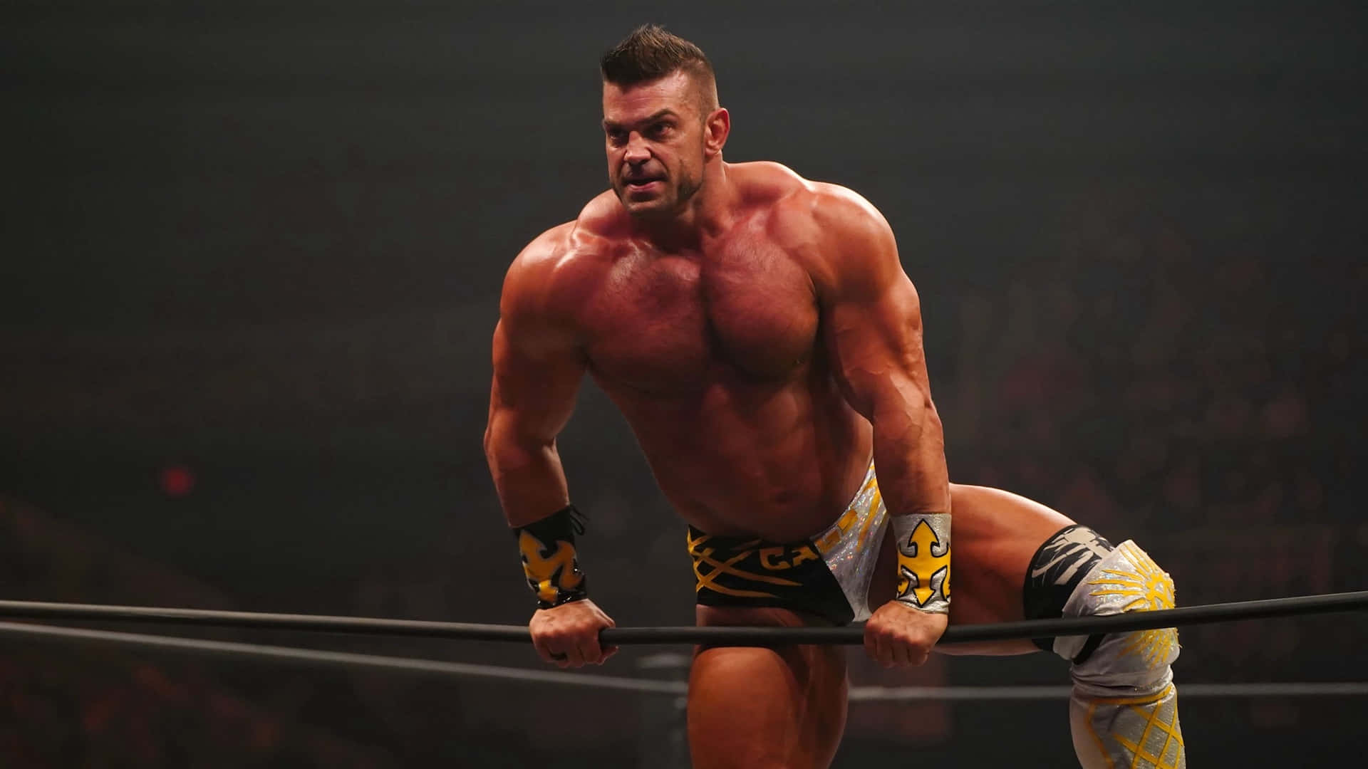 1920x1080 Brian Cage Wallpaper