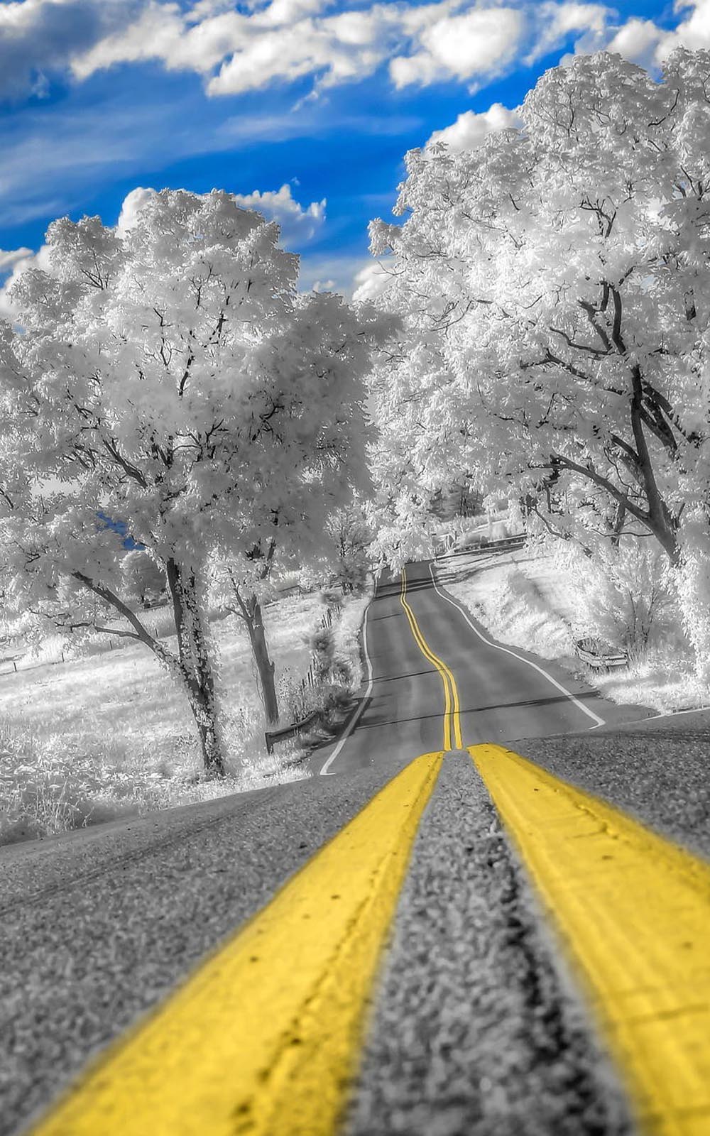 1000x1600 Road to Heaven Highway Free HD Mobile Wallpaper