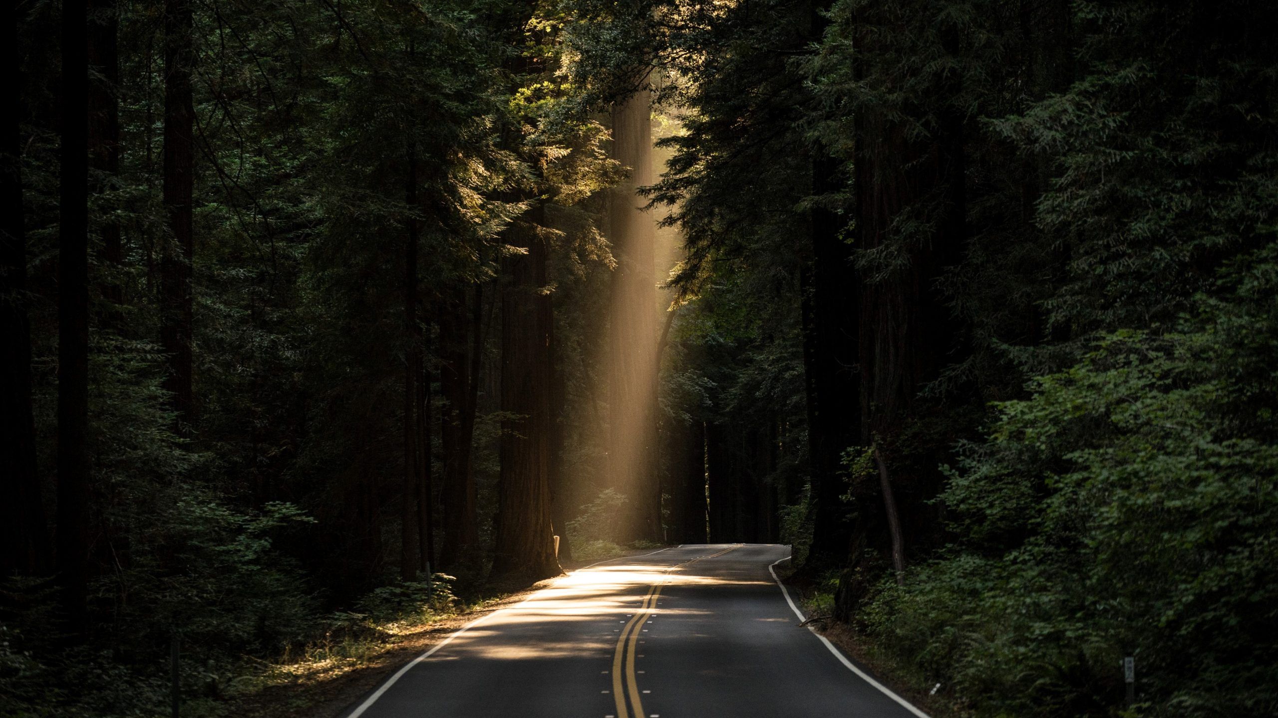 2560x1440 A spiritual packing list for the road to Heaven. Salt + Light Media