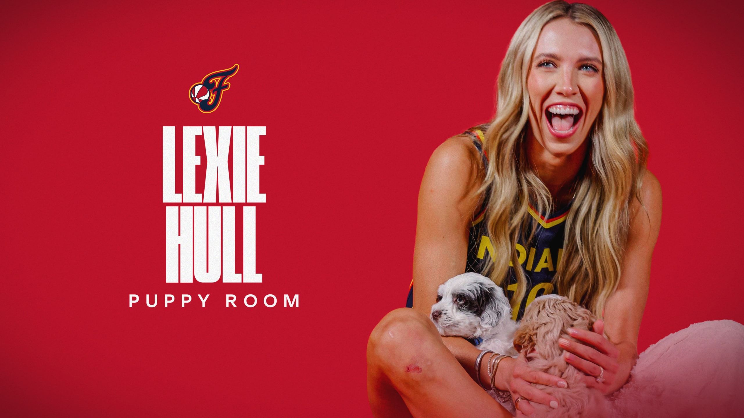 2560x1440 Lexie Hull THE PUPPY ROOM INTERVIEW