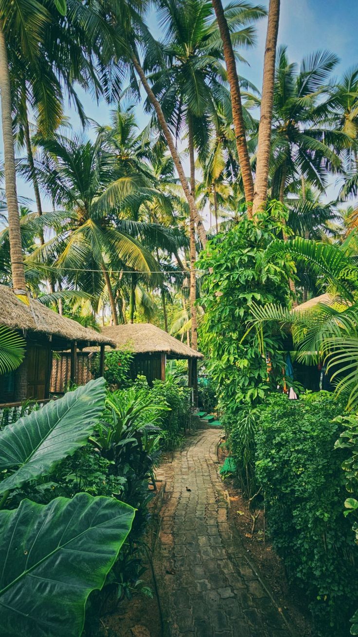 736x1308 Wallpaper goa, peace, good vibes, jungle, greenery, Nature 4K by Goku7771. Download wallpaper goa, peace, good vibes, jungle, greenery for free