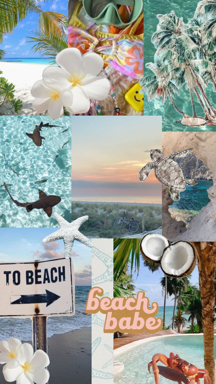 736x1308 nature #vibes #wallpaper #beach #aesthetic #coconut #summer #coconutgirl #preppy #beauty