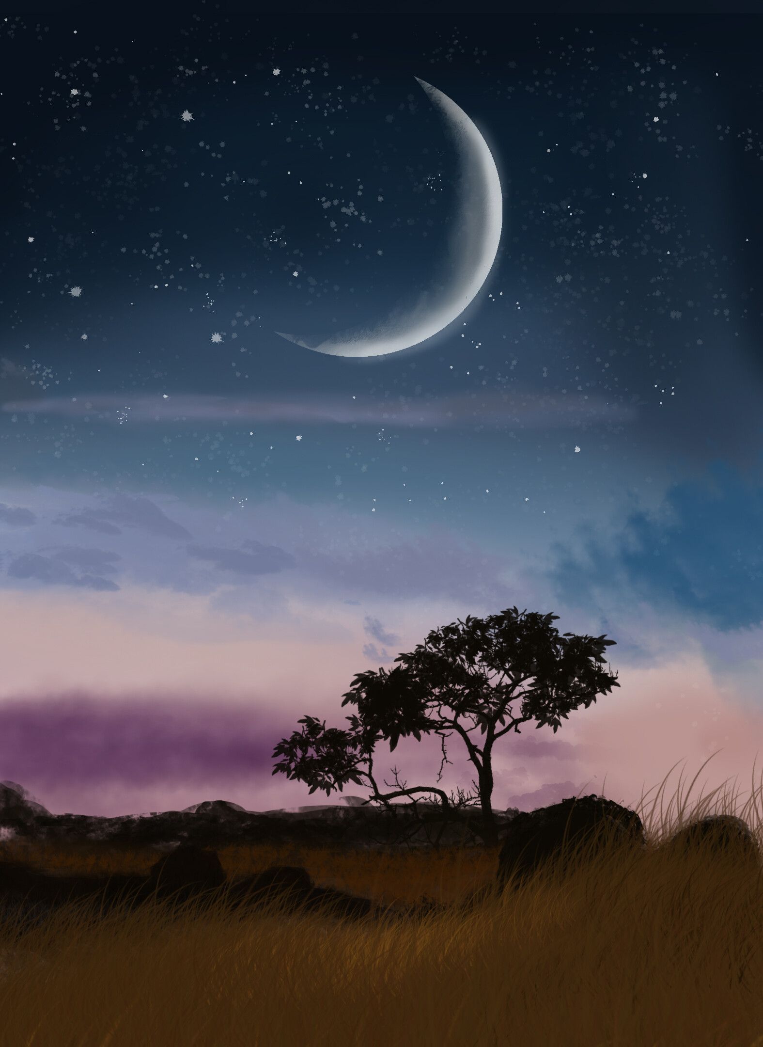 1575x2160 Nature vibe