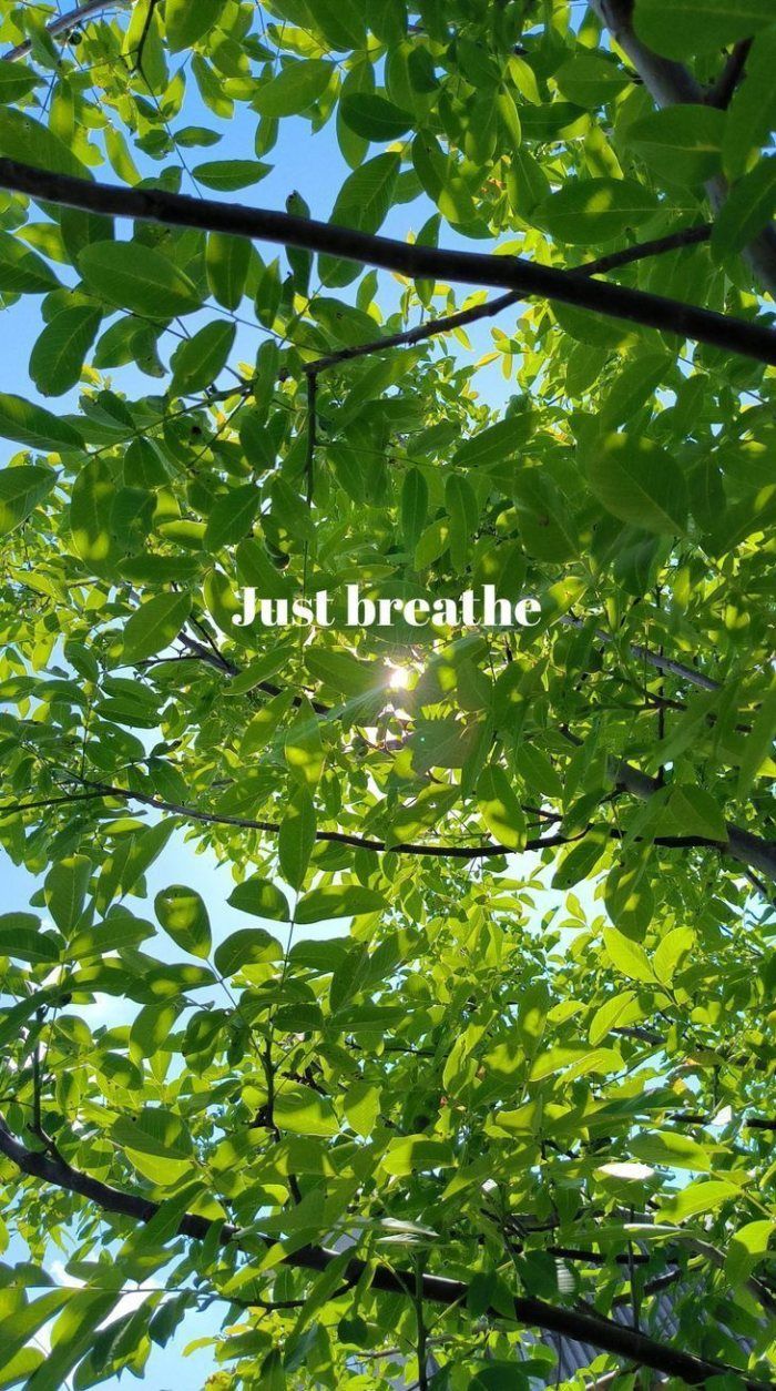 700x1254 Just Breathe Green Wallpaper : A Calming Nature Quote for Peaceful Vibes