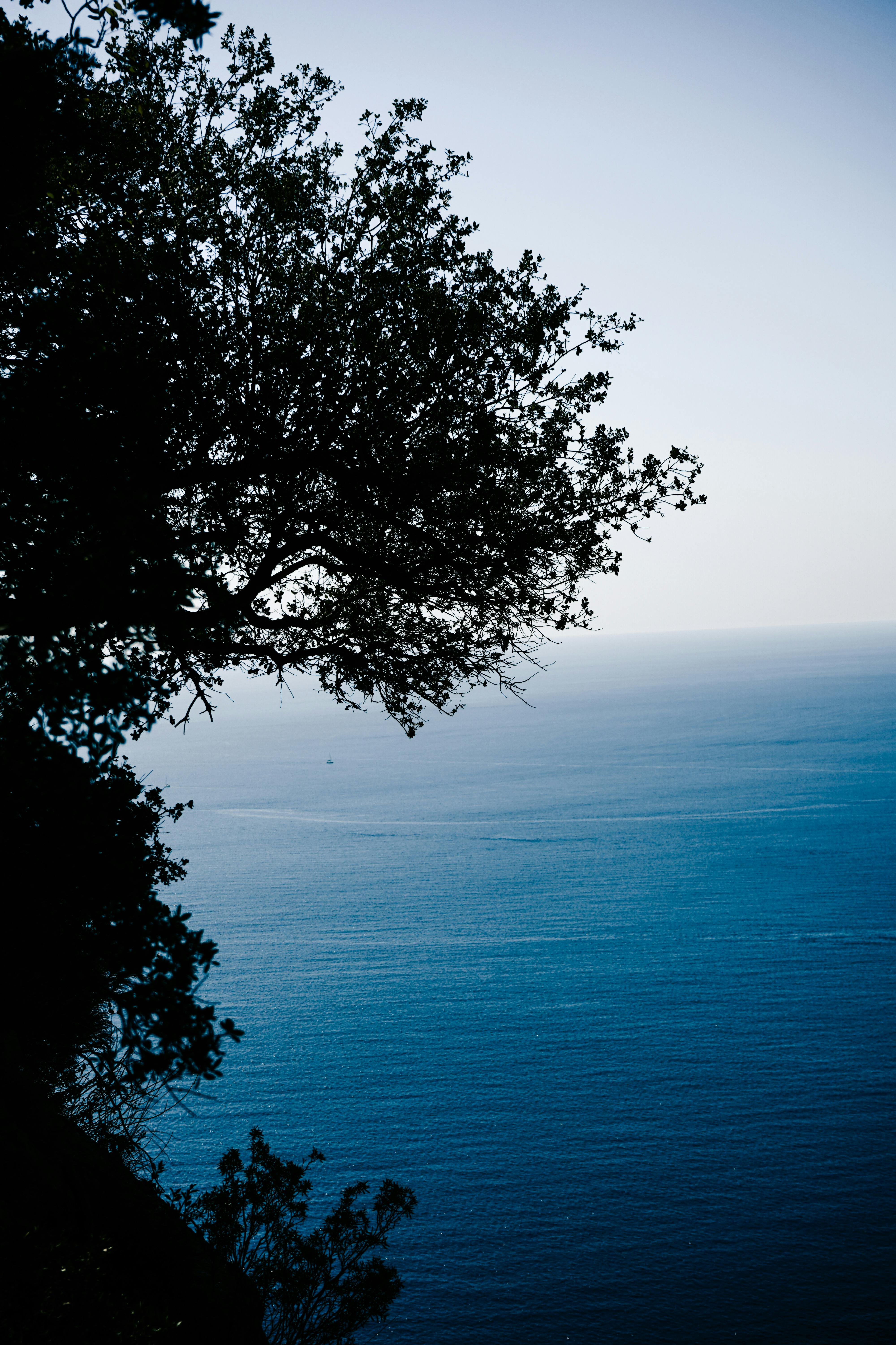 4000x6000 Blue Nature Photo, Download The BEST Free Blue Nature & HD Image