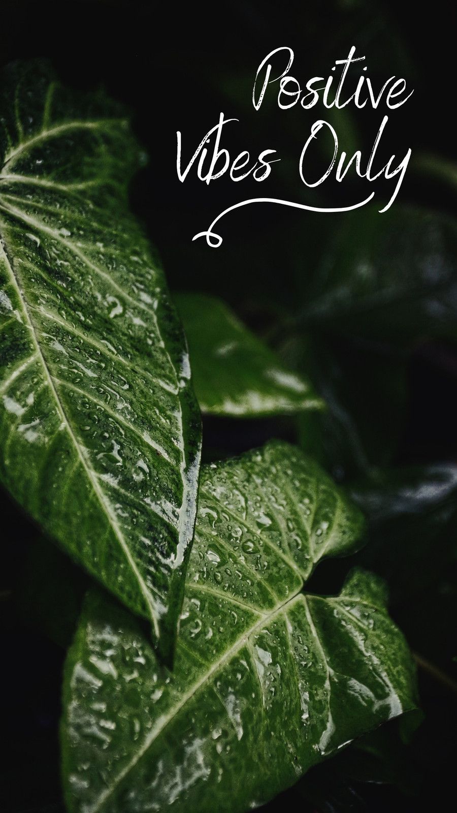 900x1600 Nature Phone Wallpaper Templates Online
