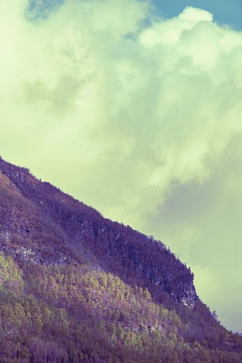 494x740 Wallpaper With Nature Vibes Photo Free High Quality Picture
