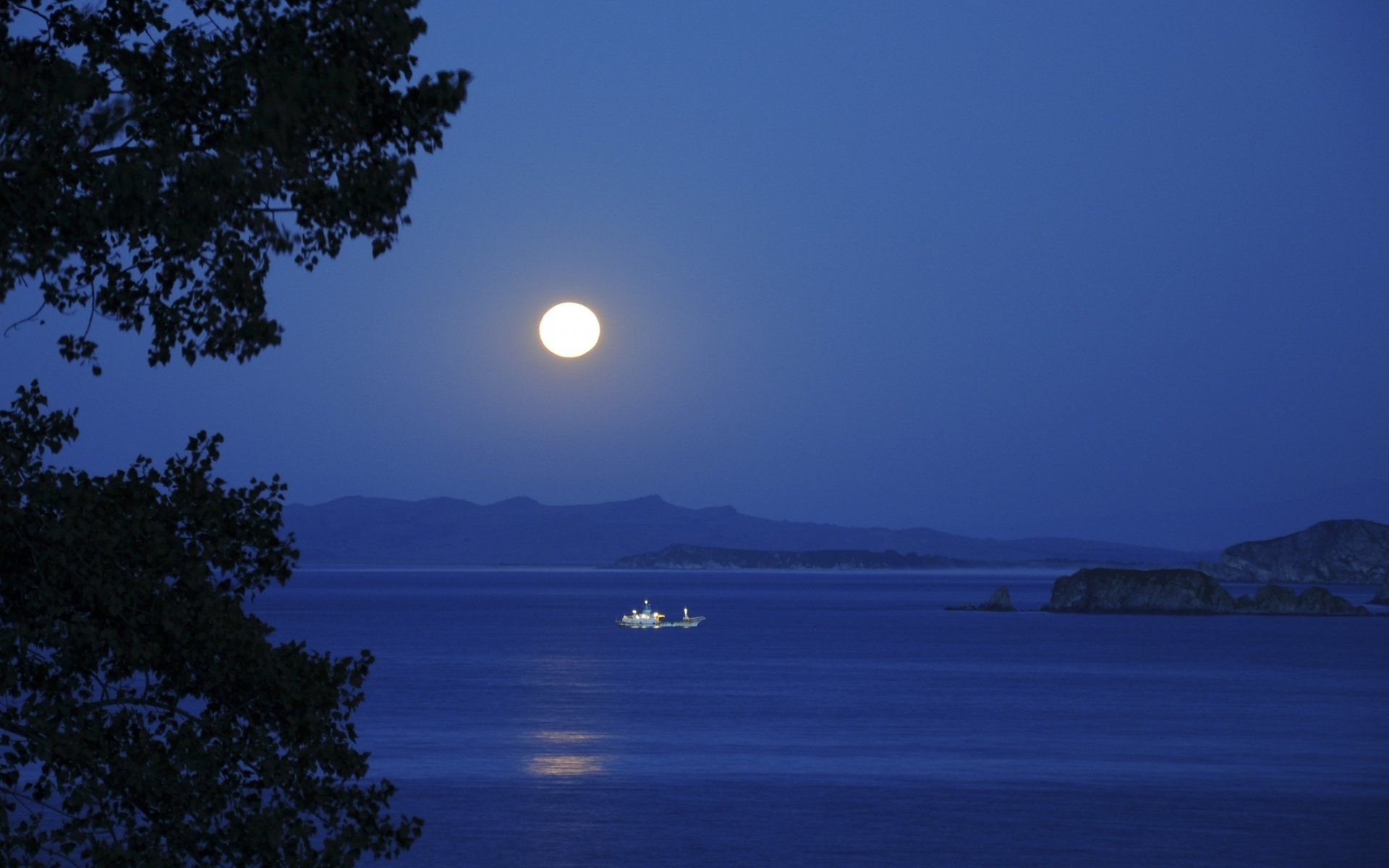 1920x1200 Serene Moonlit Nature: HD Wallpaper for Tranquil Vibesx1200