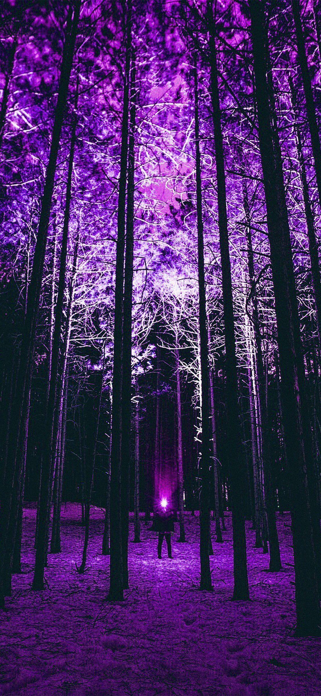 1125x2436 iPhone X wallpaper. wood mountain nature purple night