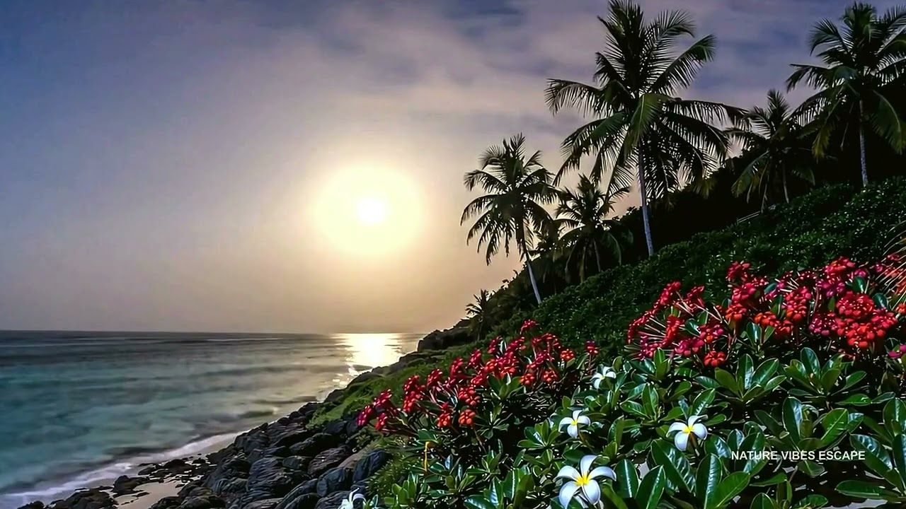 1280x720 Kona Coast Style