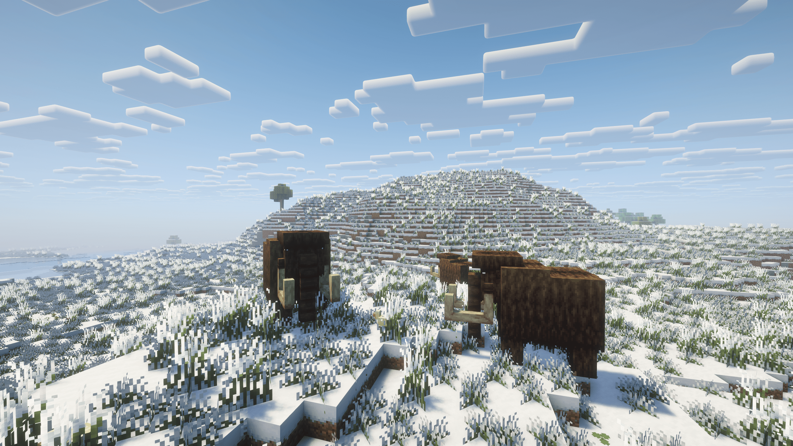 2560x1440 Ice Age Winter