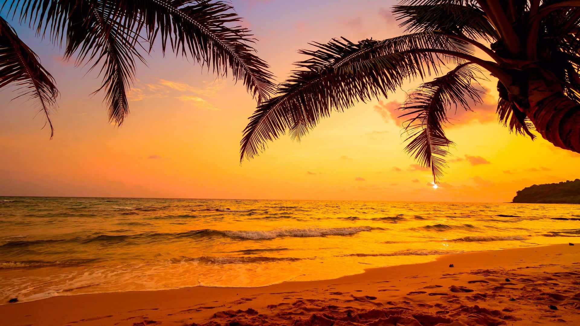1920x1080 Download Tropical Sunset Chill Photo Wallpaper