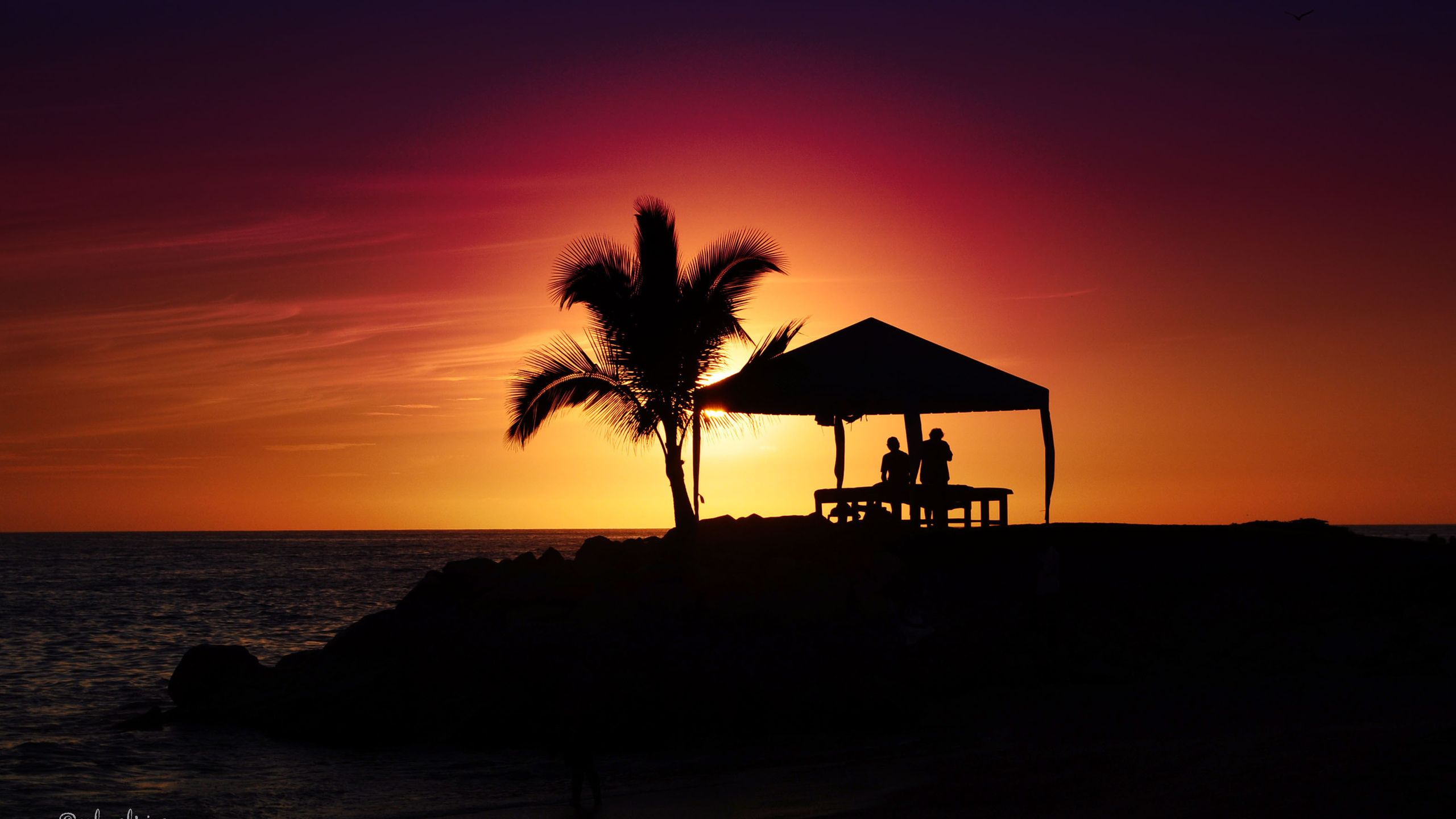 2560x1440 Wallpaper Silhouette of 2 People Standing Near Beach During Sunset, Background Free Image