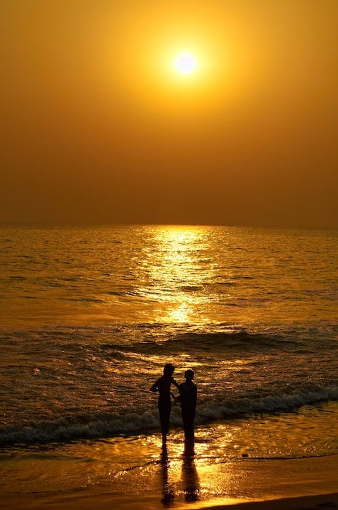 491x740 Happy family sunset chill wallpaper Image