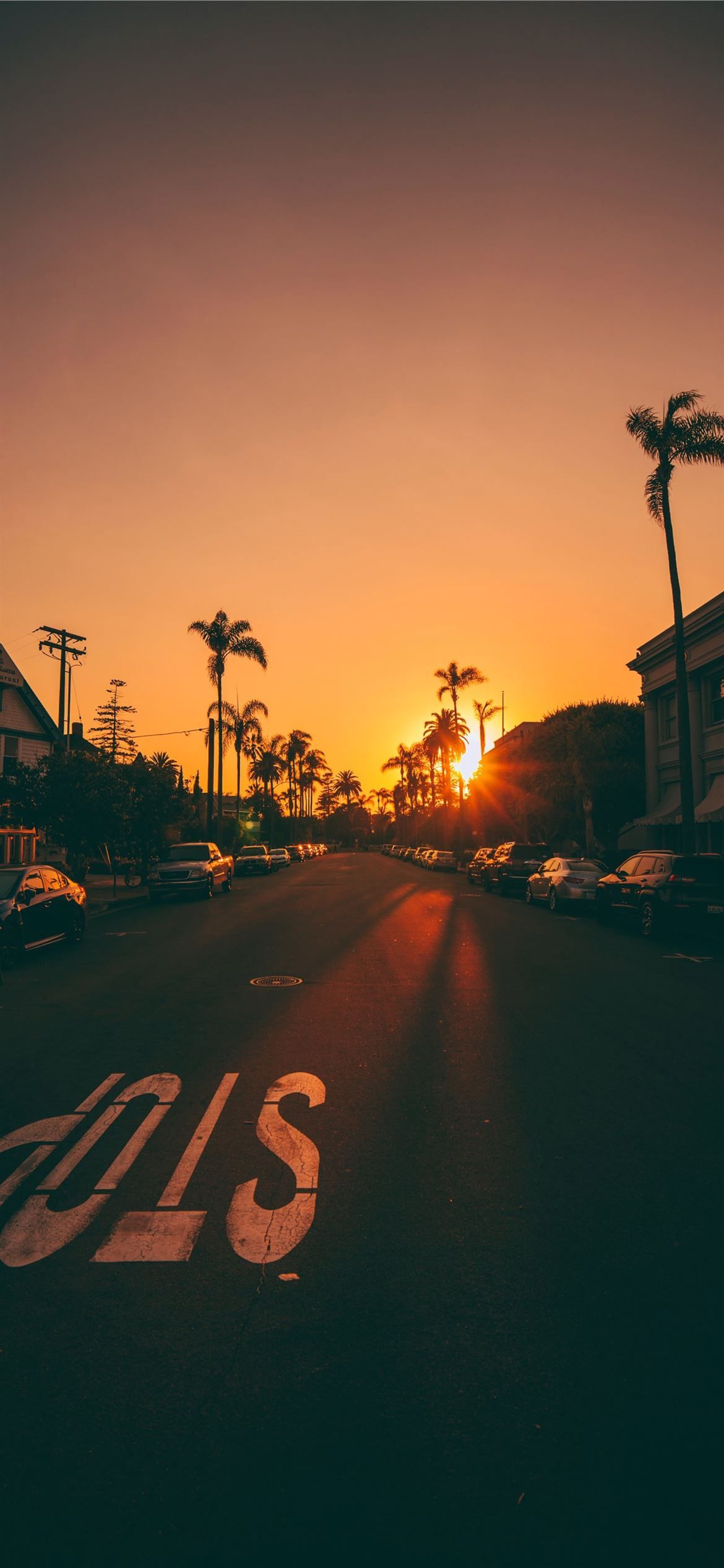 1170x2532 sunset over the horizon iPhone 12 Wallpaper Free Download