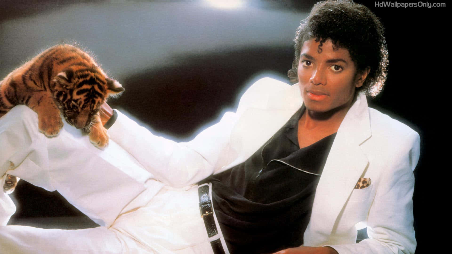 1920x1080 Download Michael Jackson in the Iconic Thriller Movie Wallpaper