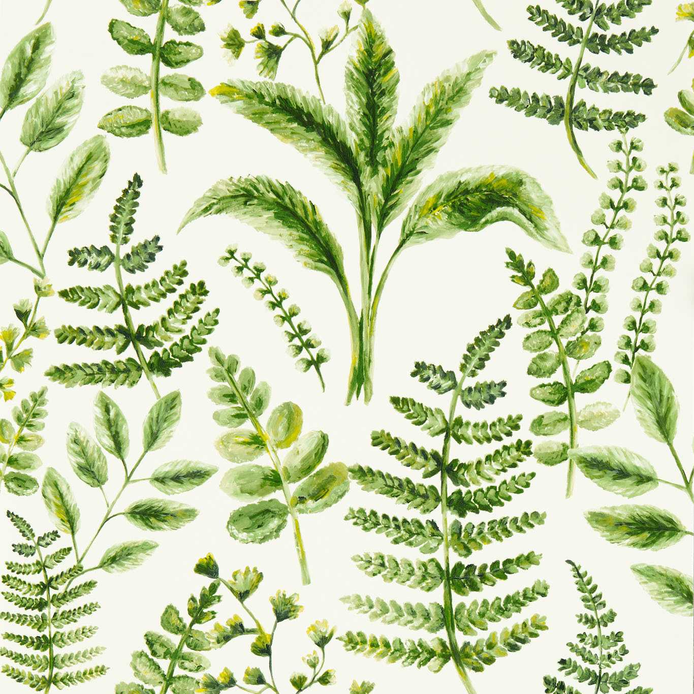 1366x1366 Bracken Wallpaper