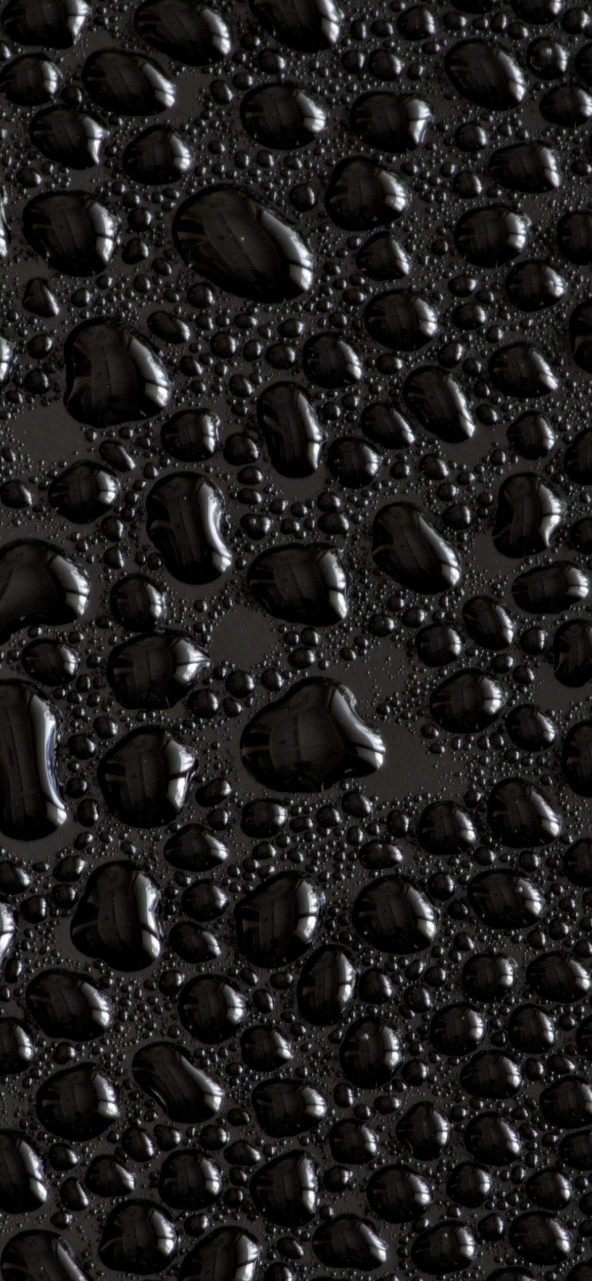 1170x2532 Water droplets Wallpaper 4K, Black background, Texture