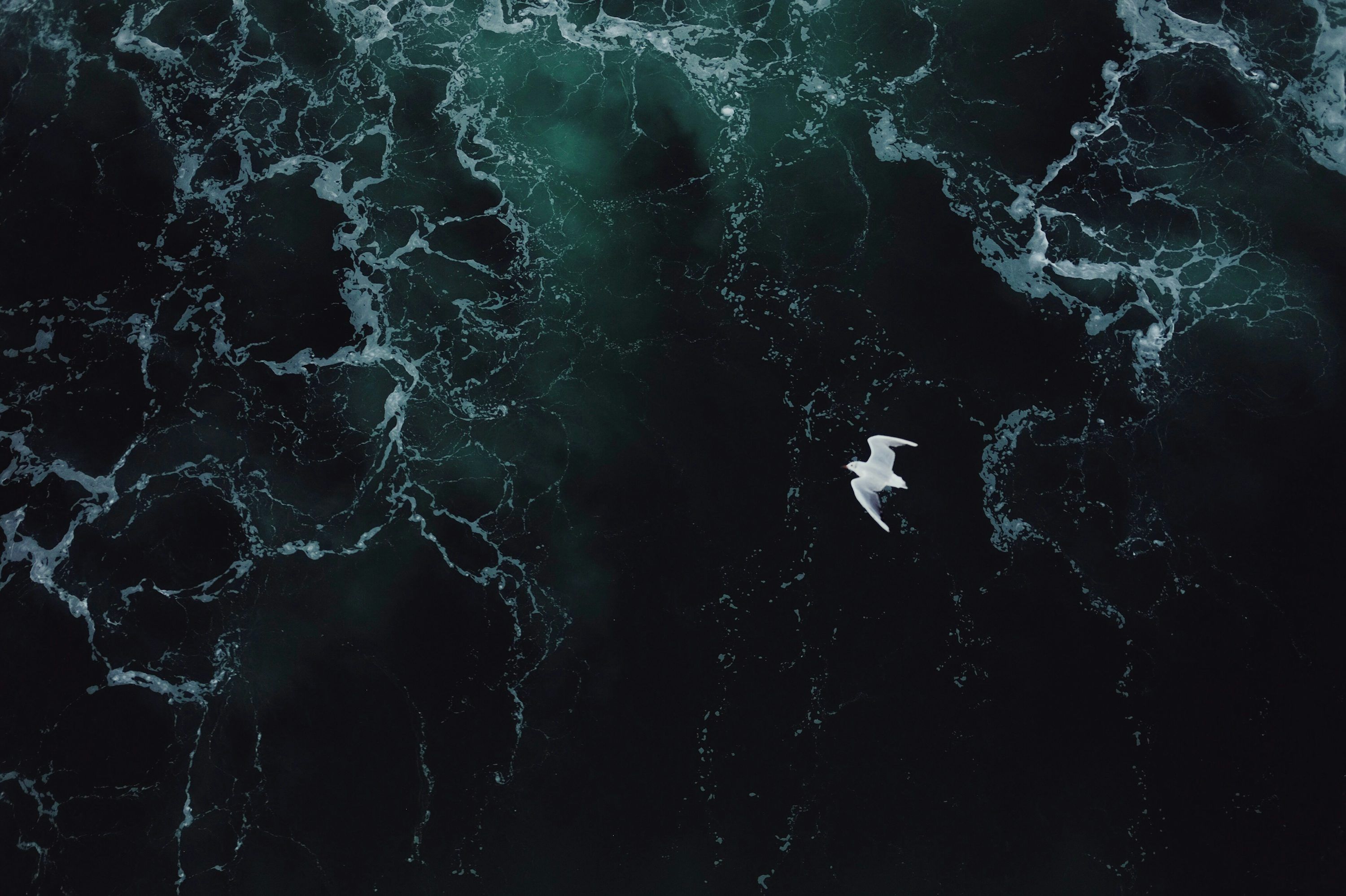 3000x1997 Dark Sea Picture [4K]. Download Free Image
