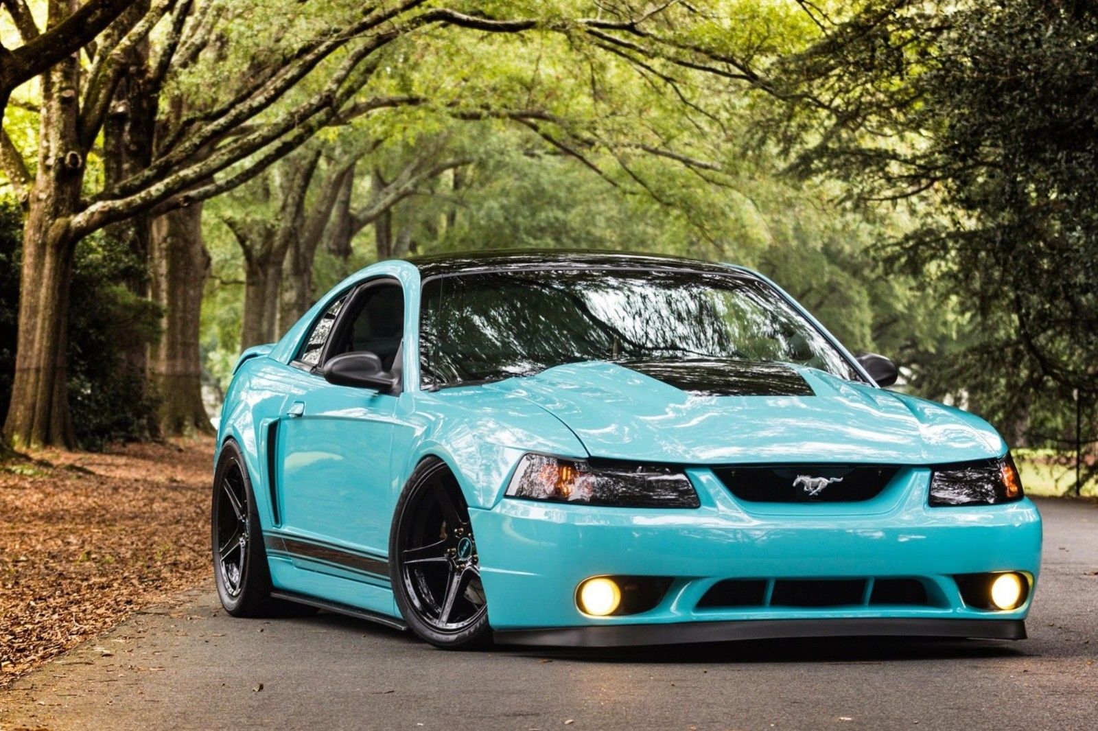 1600x1065 Ford Mustang GT Wallpaper