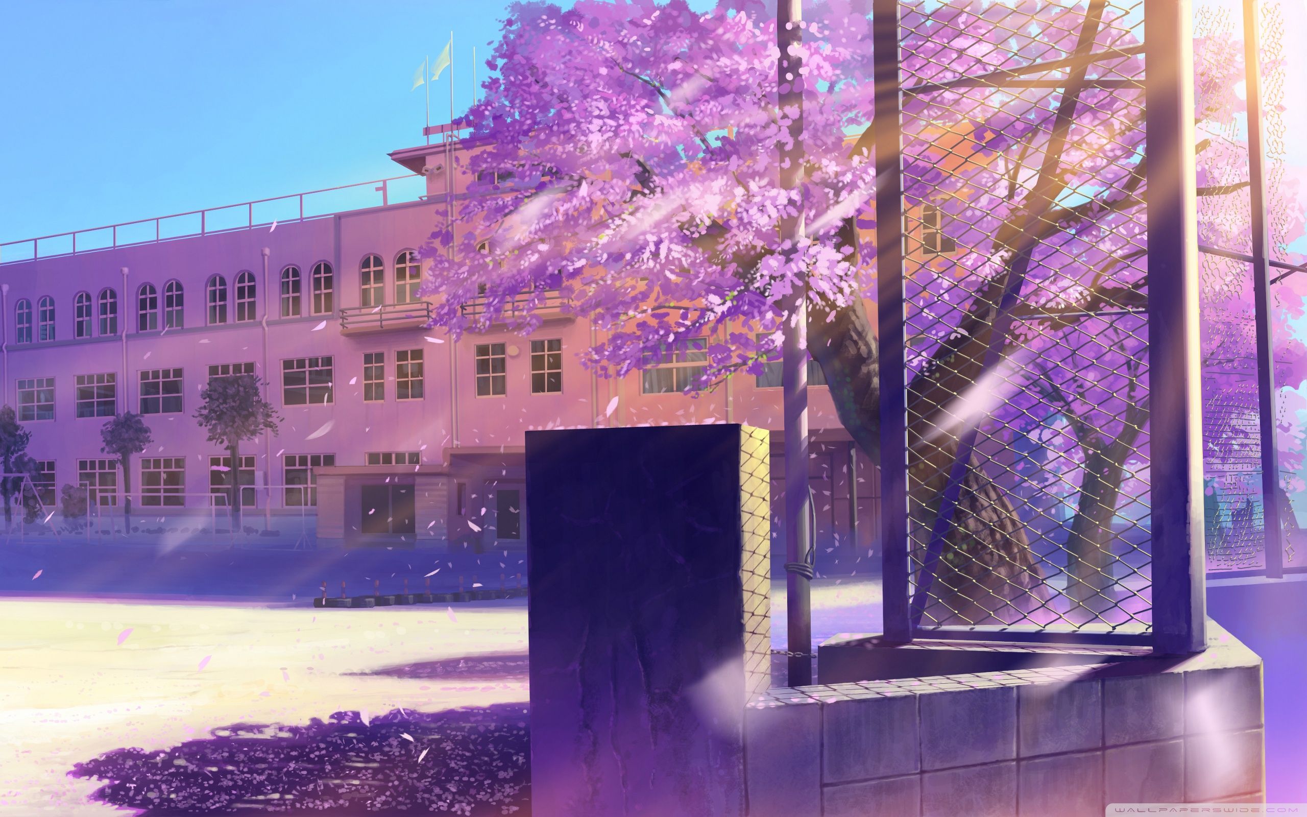 2560x1600 Schoolyard 4K UHD Wallpaper for UltraHD Desktop and TV : Smartphone and Tablet Devices