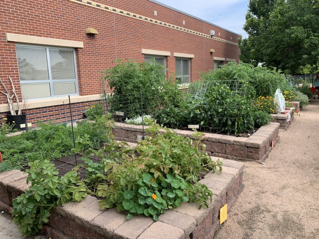 1024x768 Square Foot Gardening in the Schoolyard