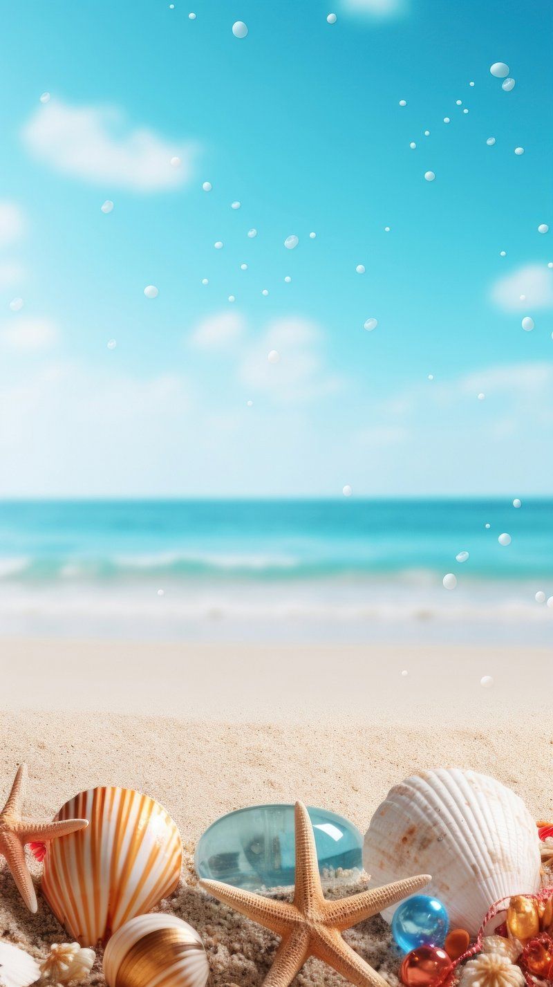 800x1427 Sea Shell iPhone Wallpaper Image Wallpaper